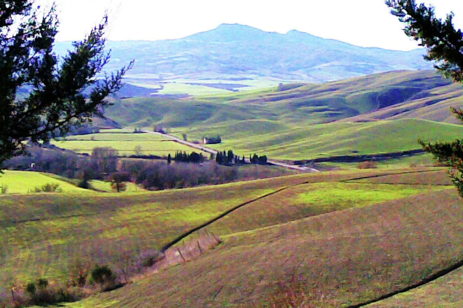 Sei Orcia-View summer