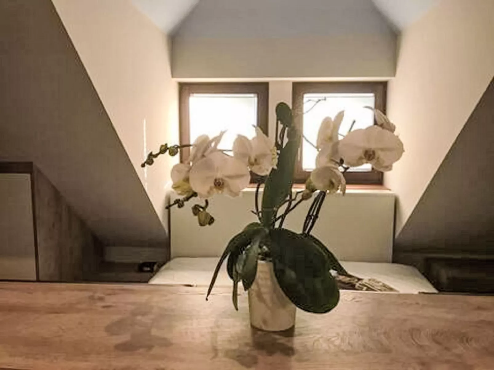 Vila Lesce-Inside