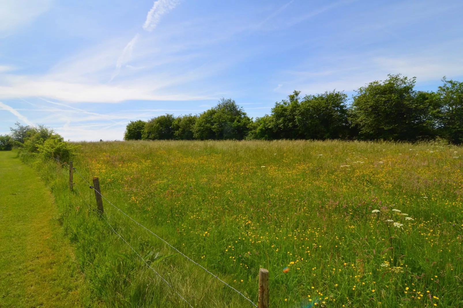 Wilogne - View in summer