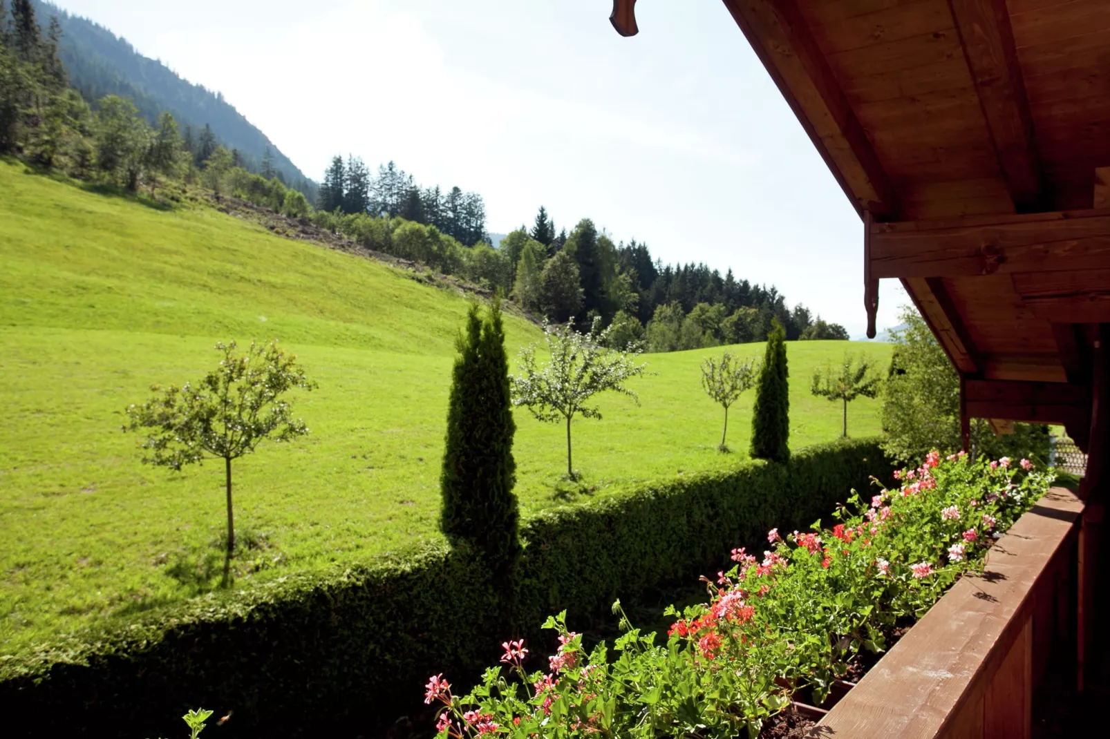 Schönes Appartement in Skigebietsnähe in Kirchberg-Terrace balcony