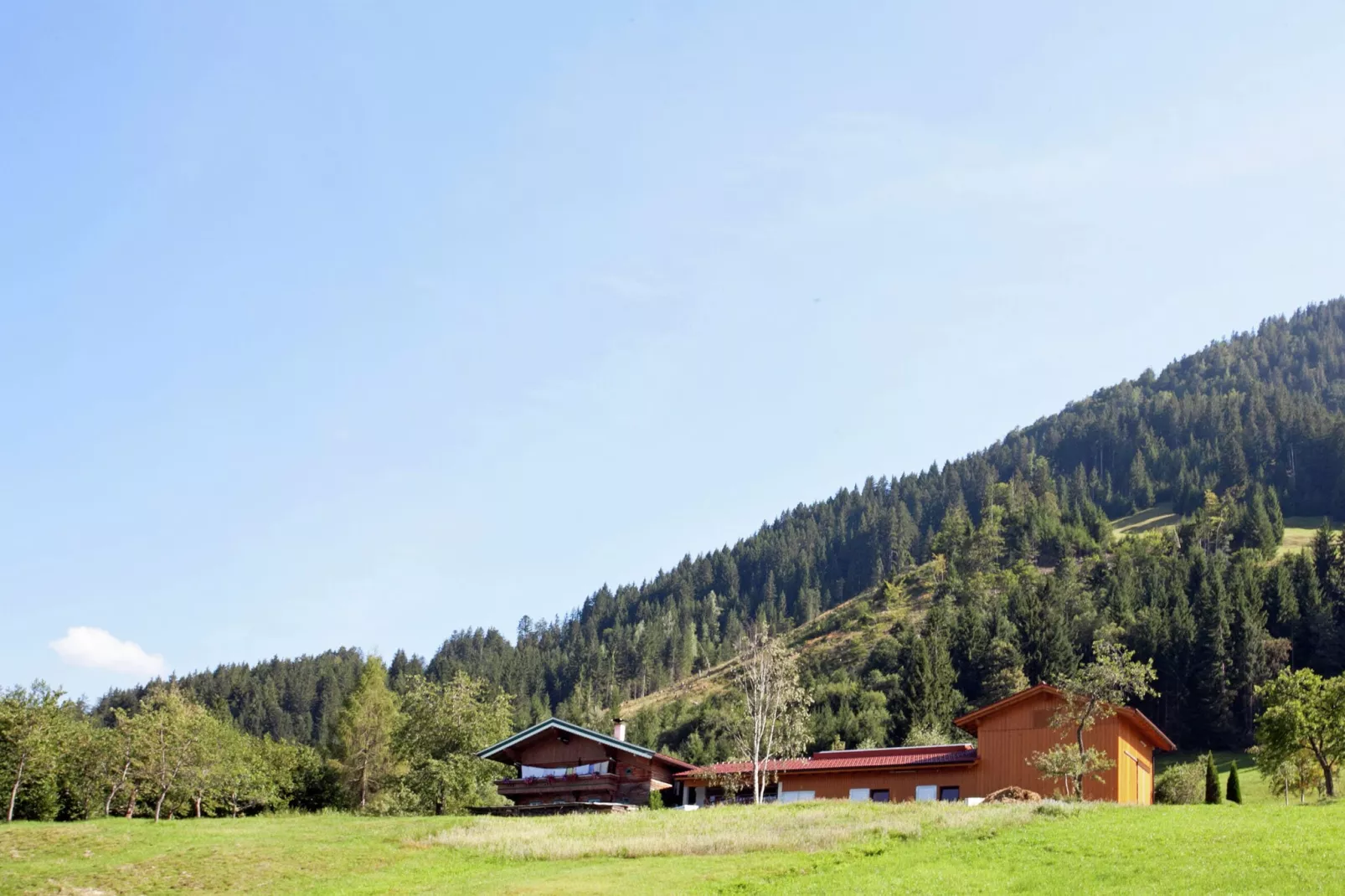 Schönes Appartement in Skigebietsnähe in Kirchberg-Areas summer 1km