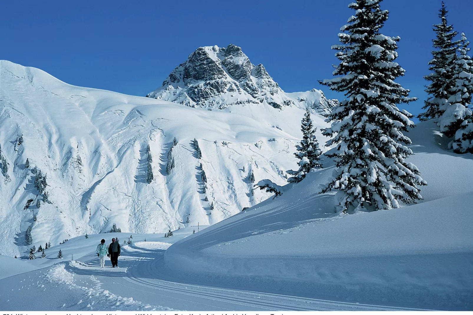 Moosbrugger-Area winter 5km