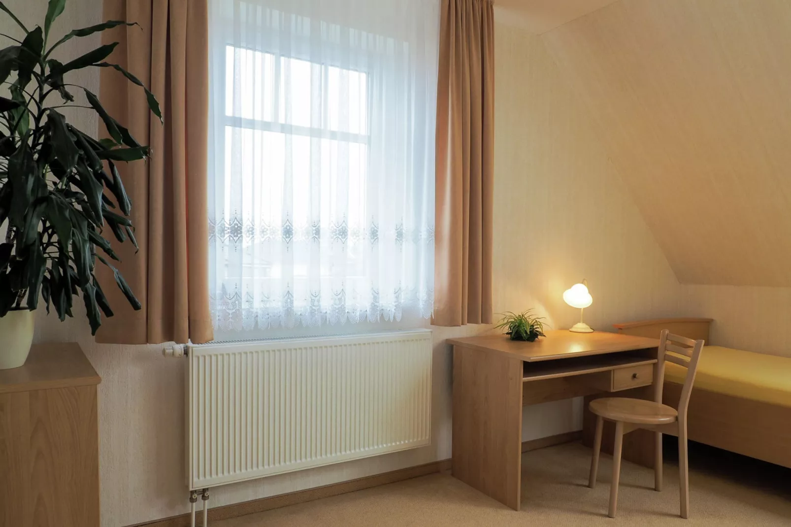 Sonnenlicht-Bedroom