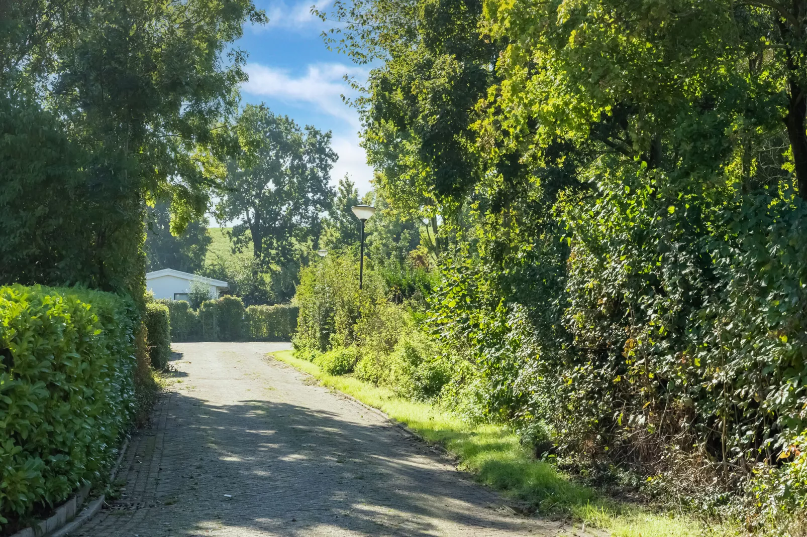 Vakantiehuis Kesselaar-Areas summer 1km