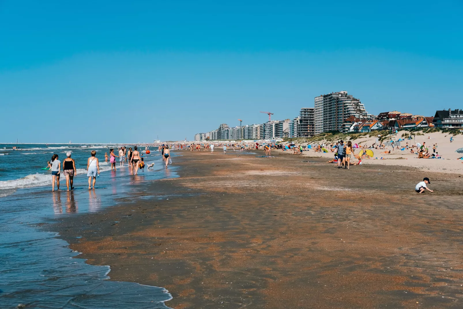 Omaar-Areas summer 20km