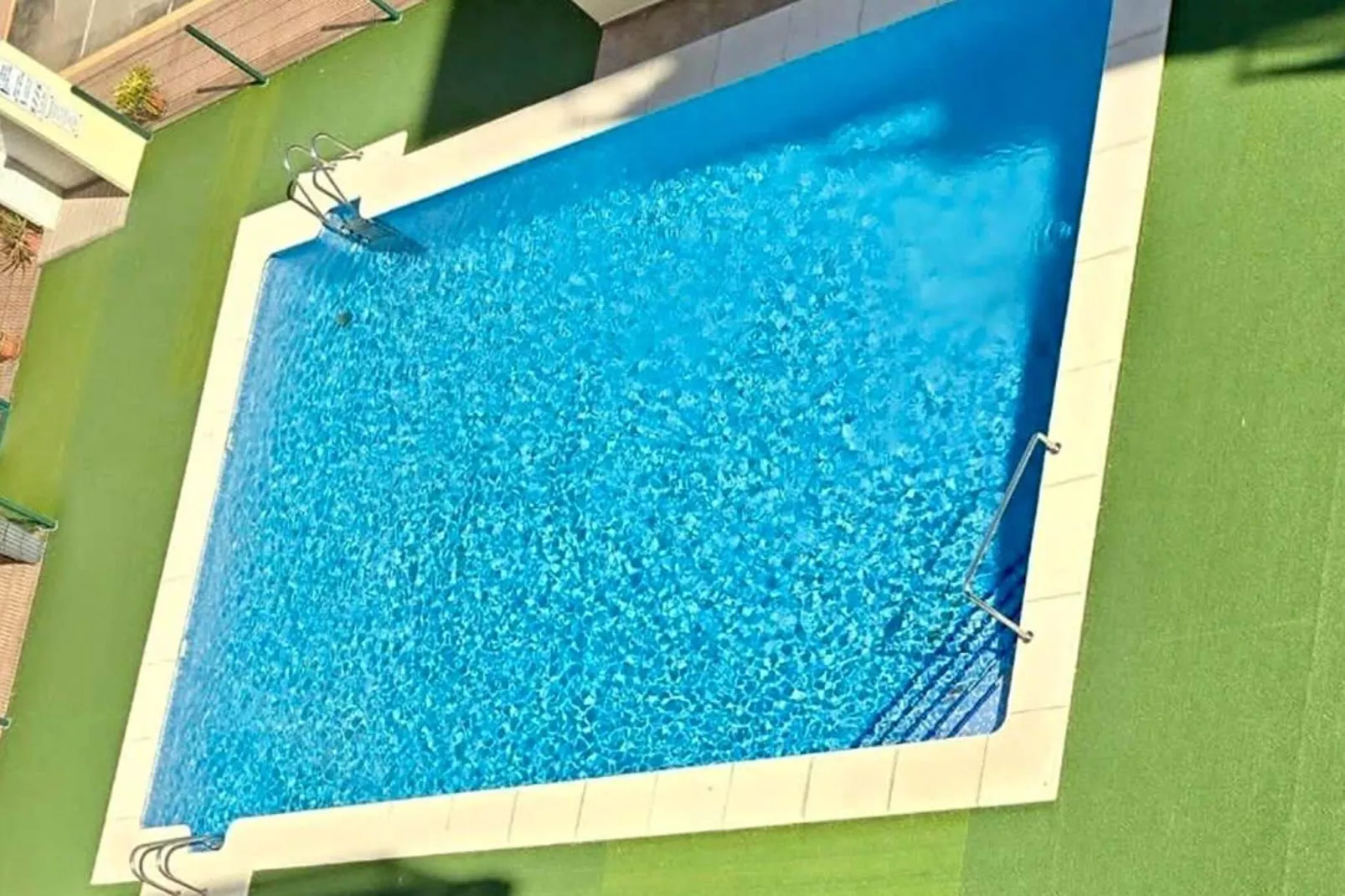 JUNGLE-Pool