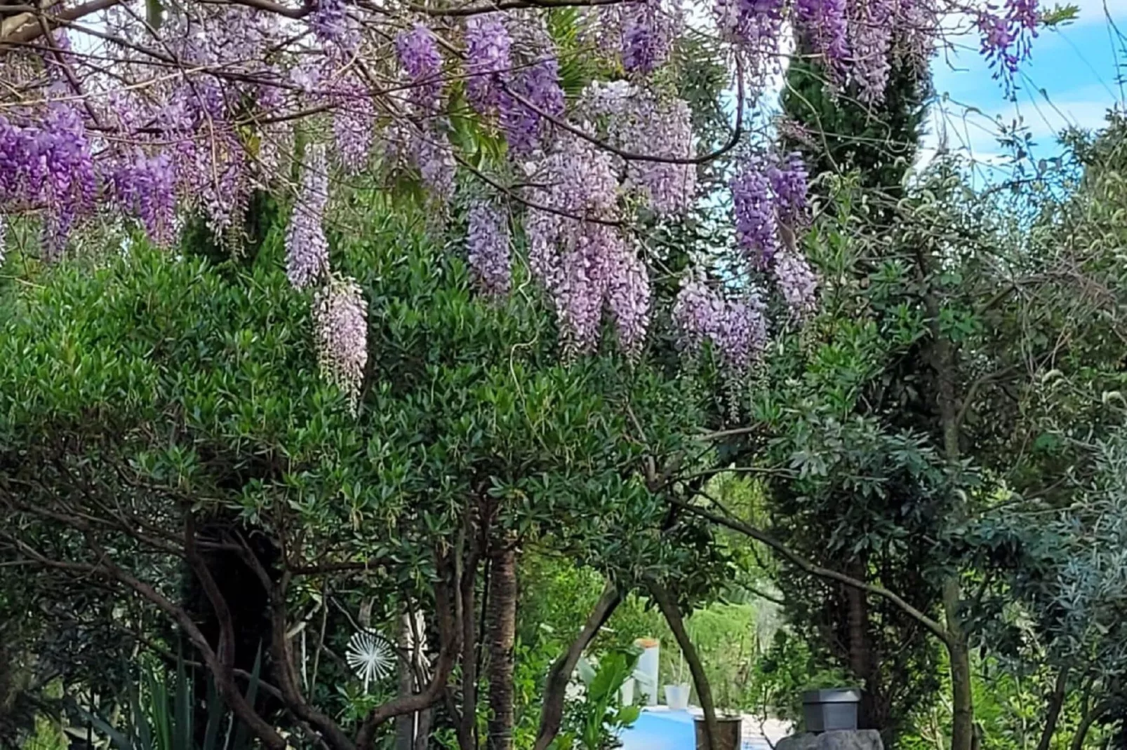 L'Aubépine-Gardens summer