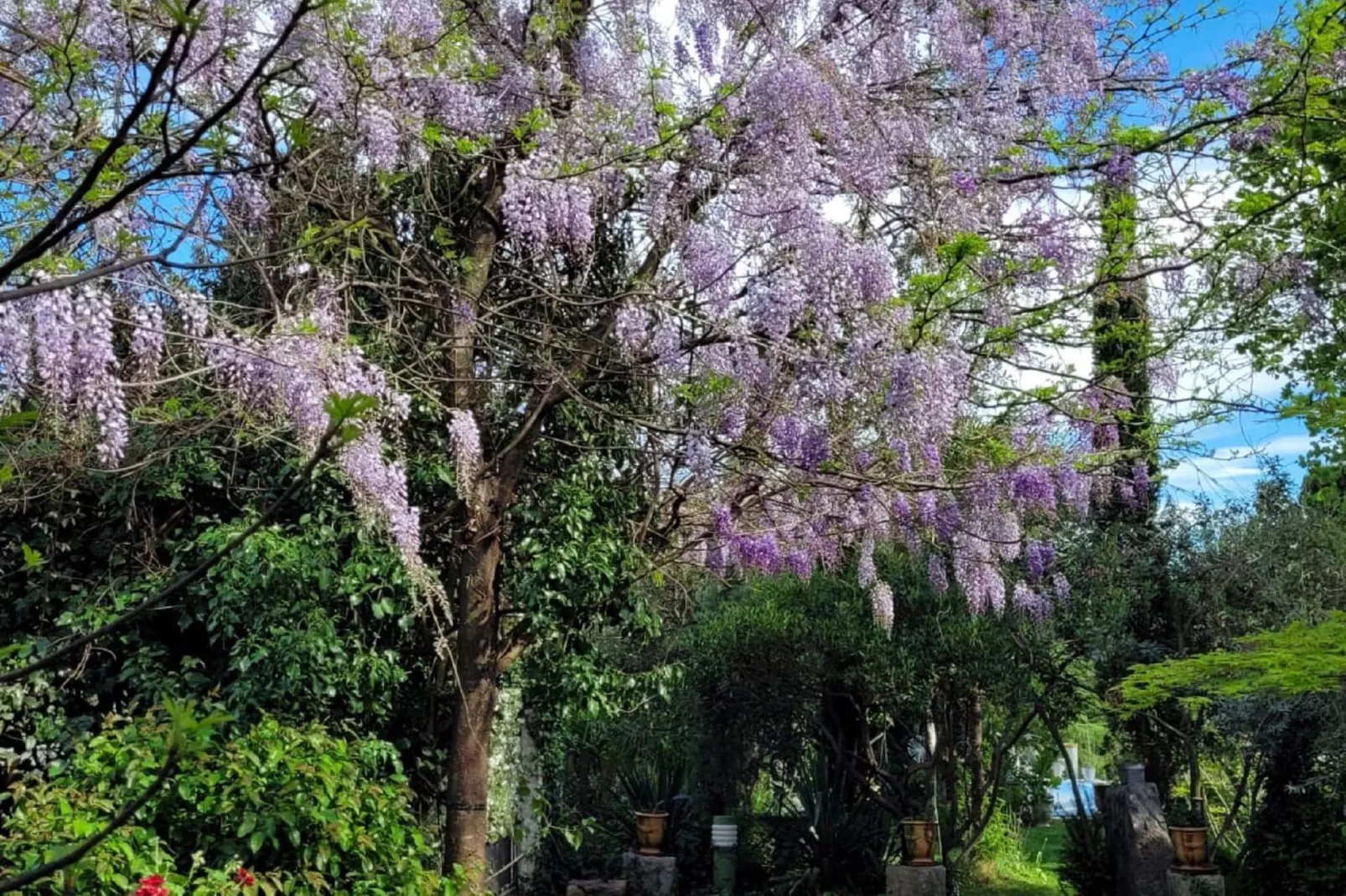 L'Aubépine-Gardens summer