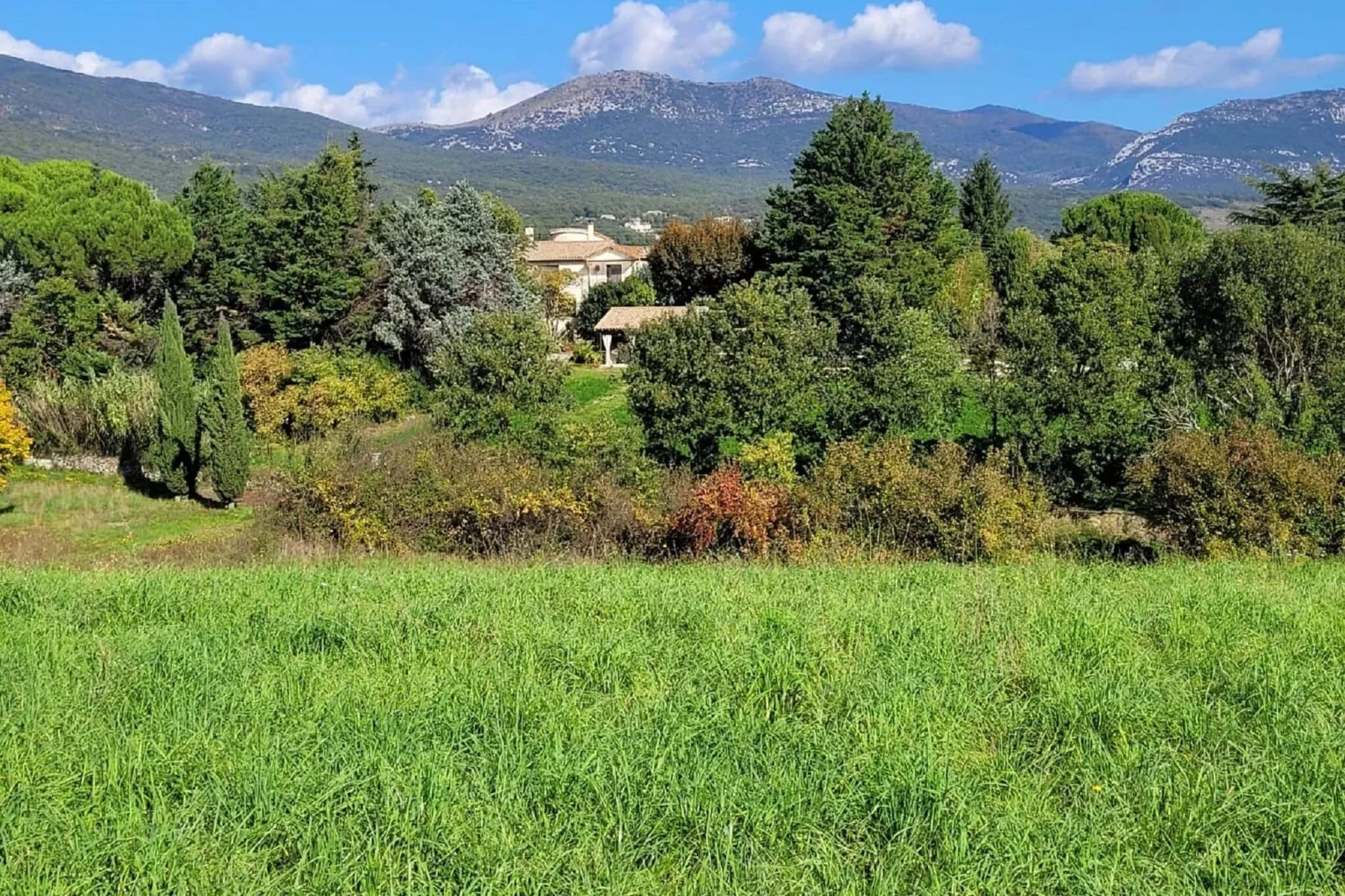 L'Aubépine-View summer