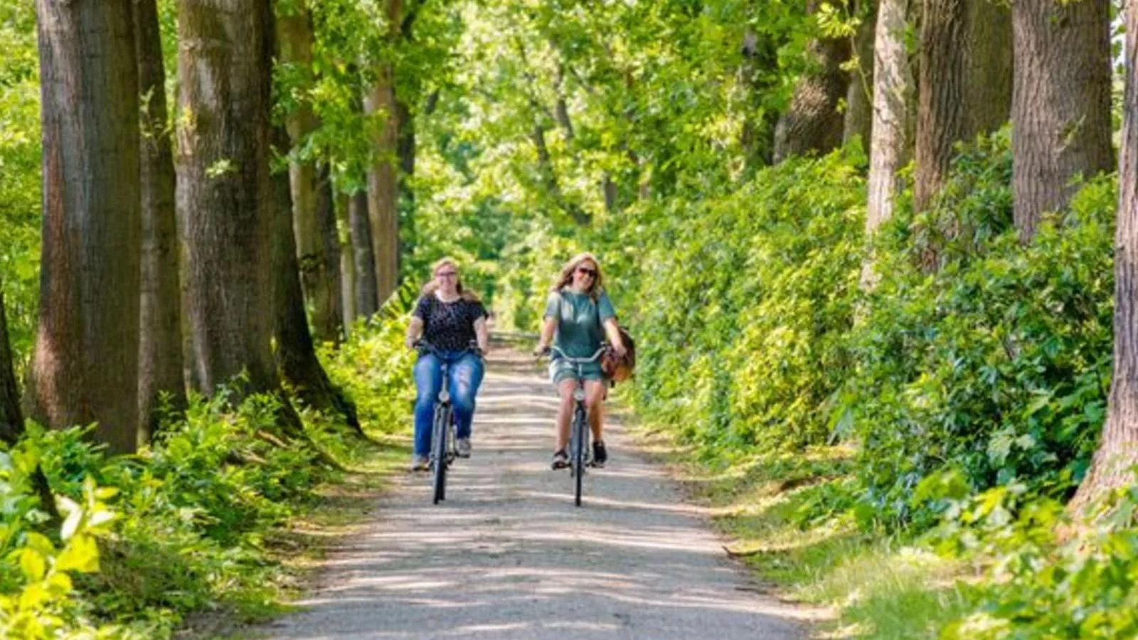 Brabants Weelde-Areas summer 5km