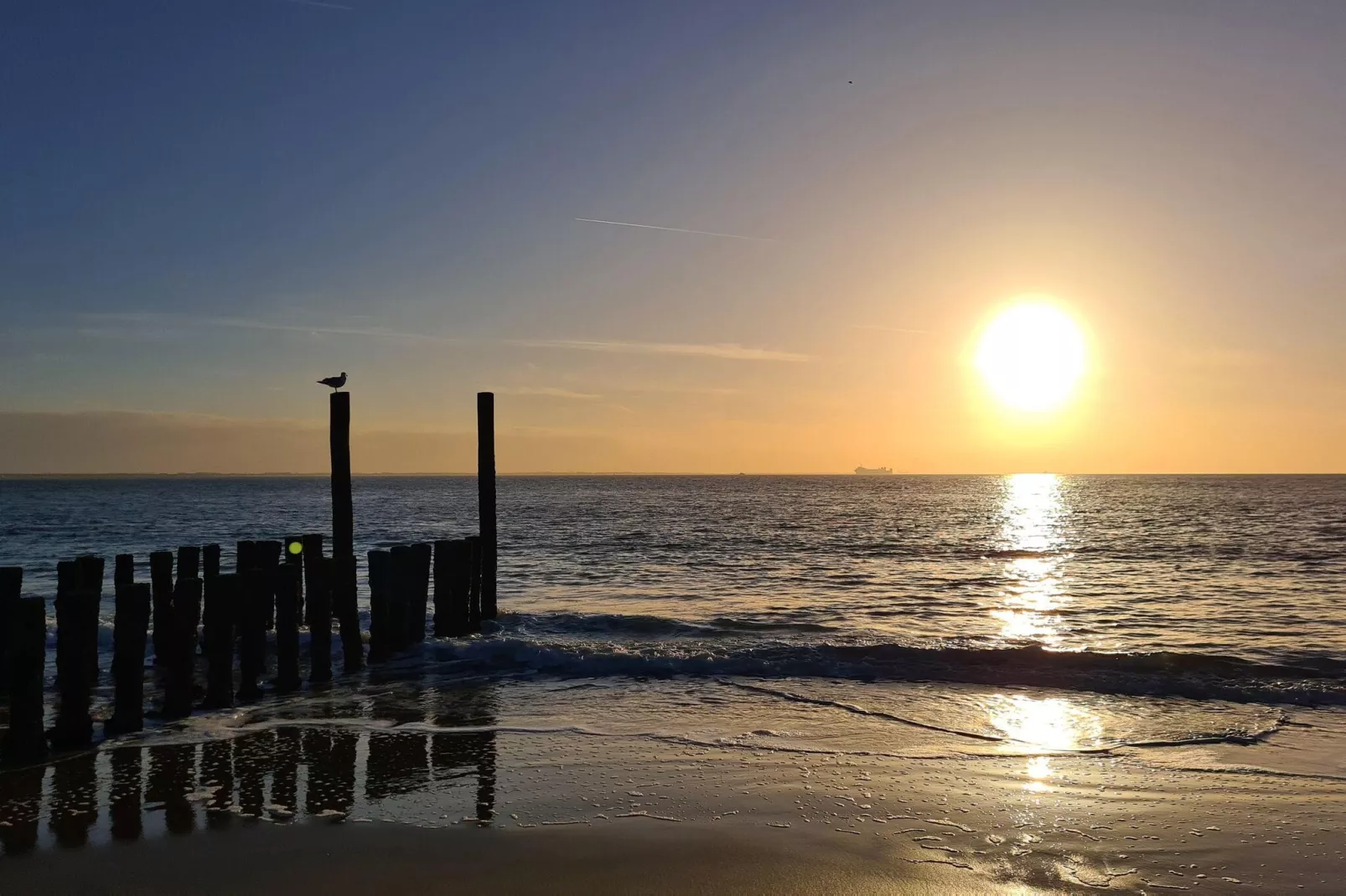 Strandwoning Baarland in Zeeland-Areas summer 1km