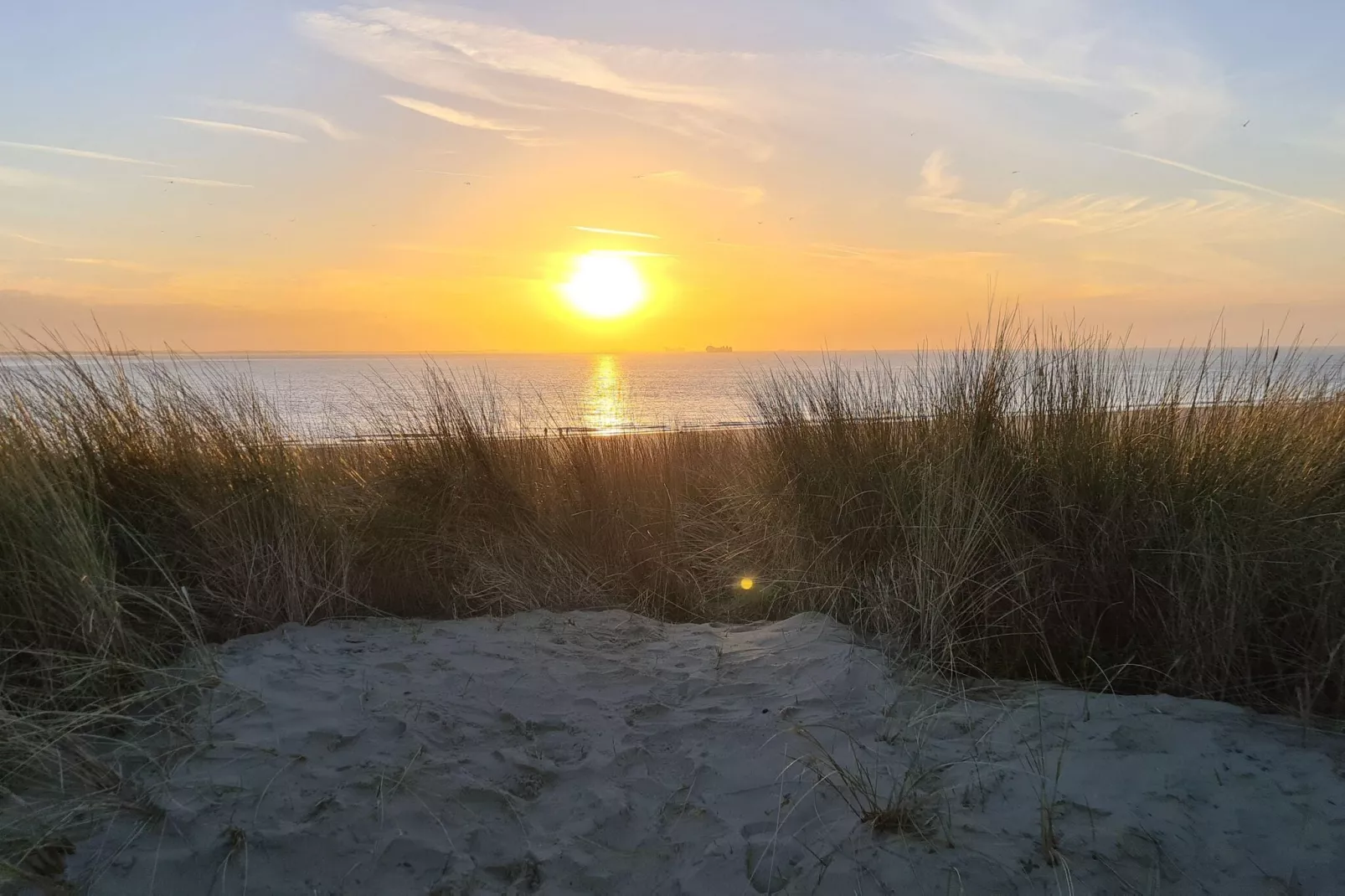 Strandwoning Baarland in Zeeland-Areas summer 1km