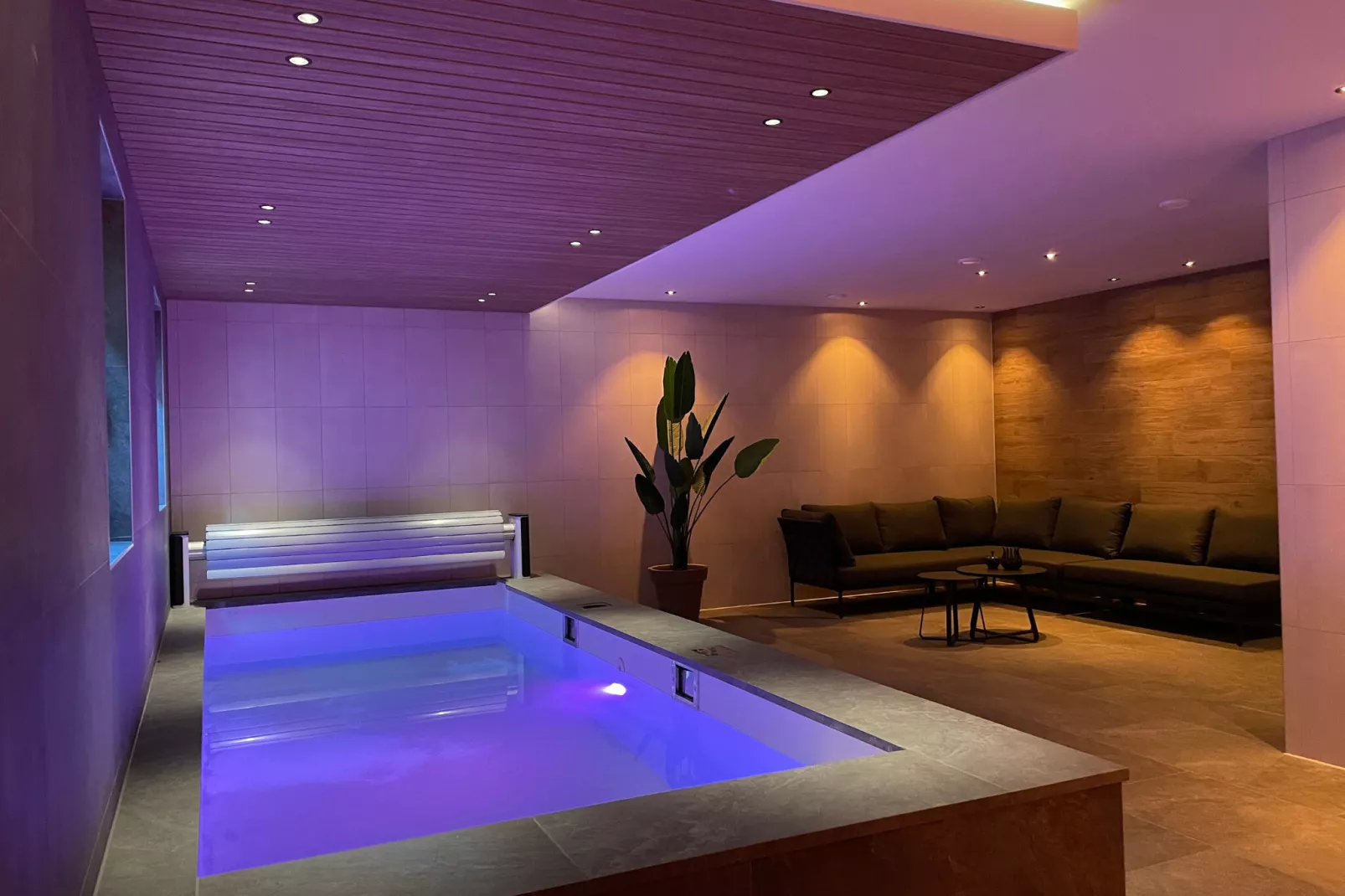 Veluwe Villa Wellness-Pool