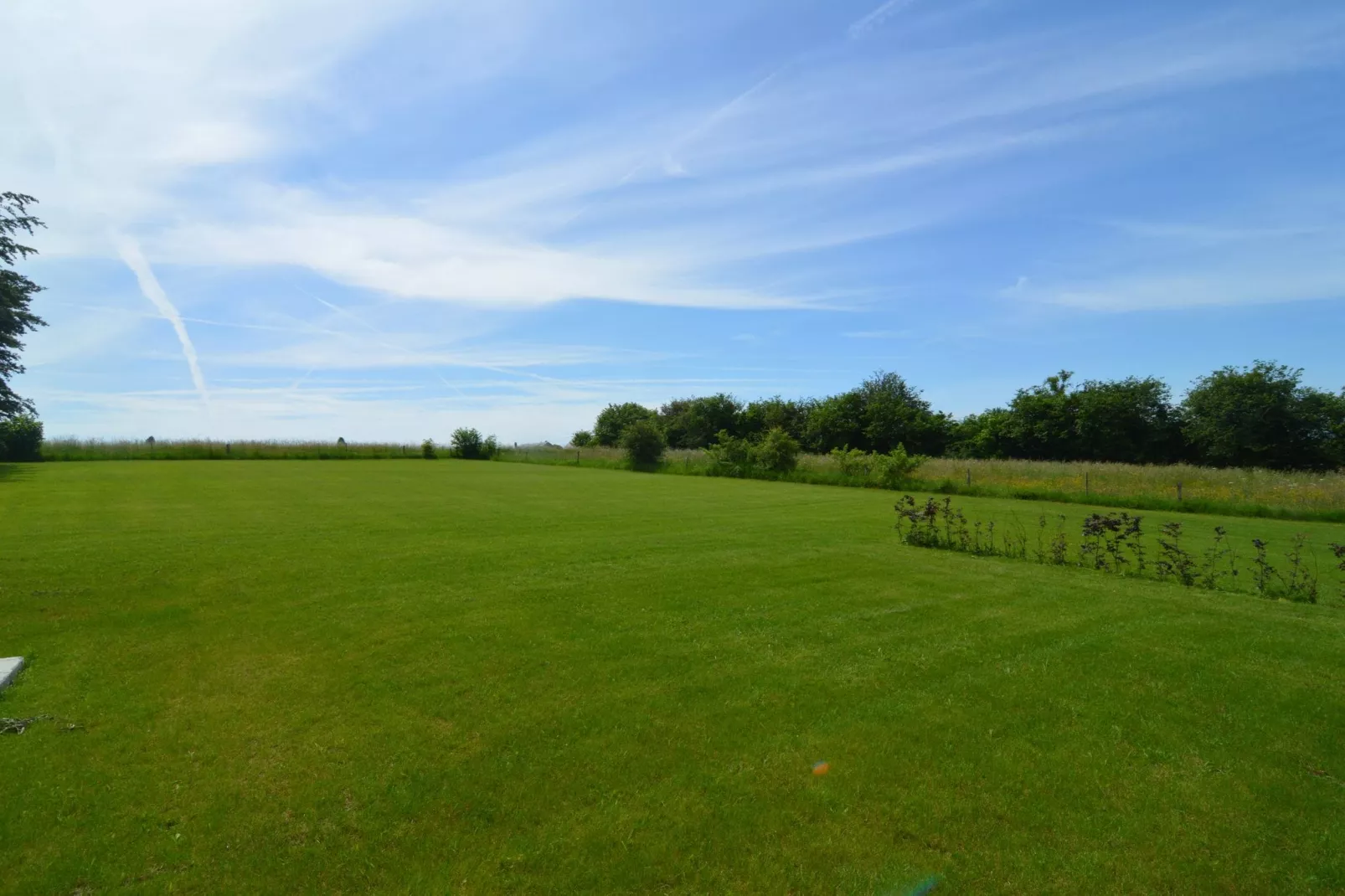 Dinez - Garten Sommer
