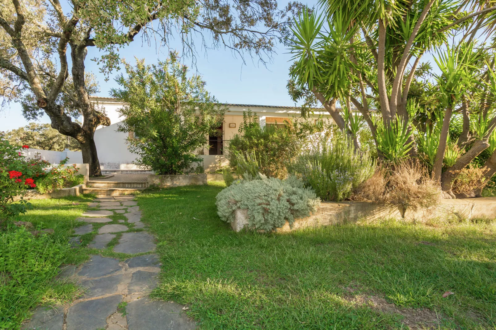 La Serena-Exterior summer