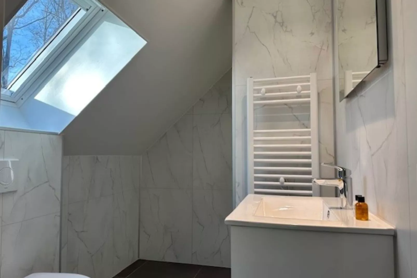 Natuur Villa  5 personen-Bathroom
