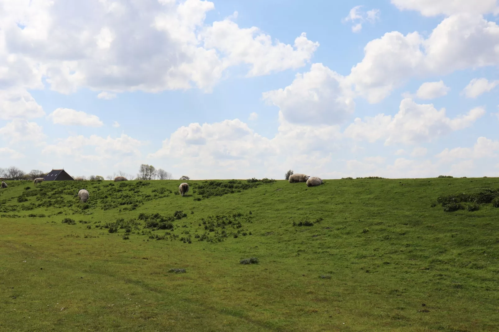 Grote Siege 44-Areas summer 1km
