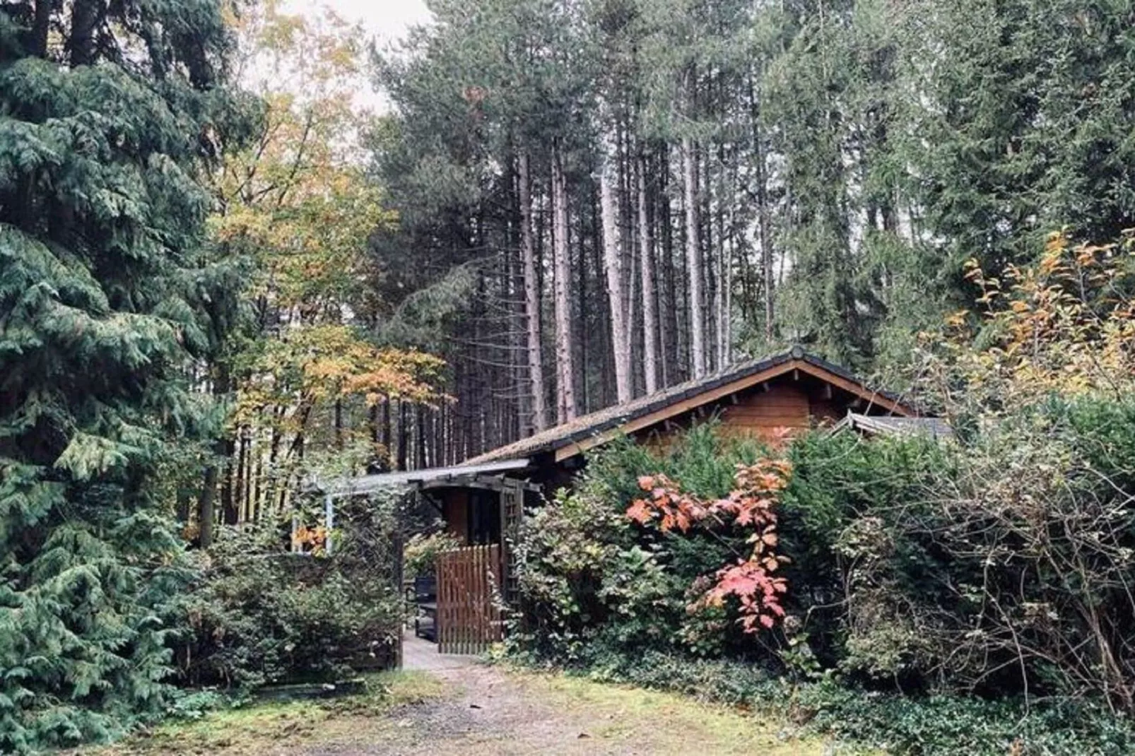 Kannaert-Exterior summer