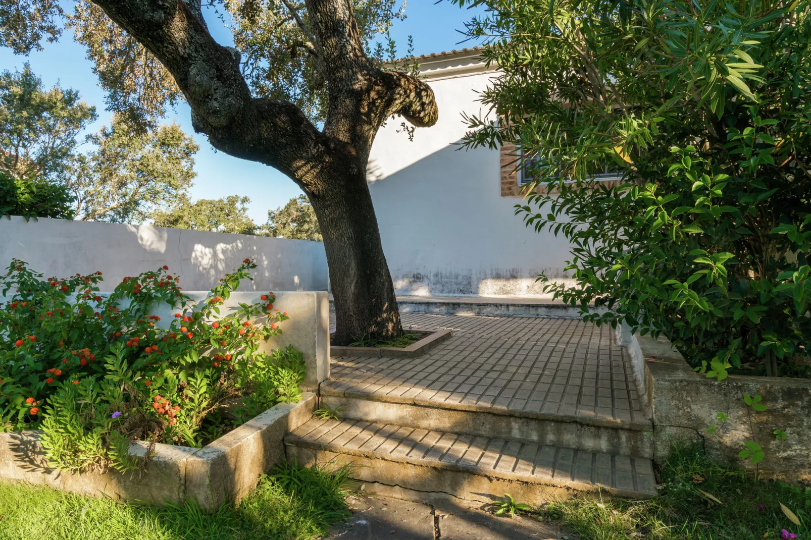 La Serena-Gardens summer