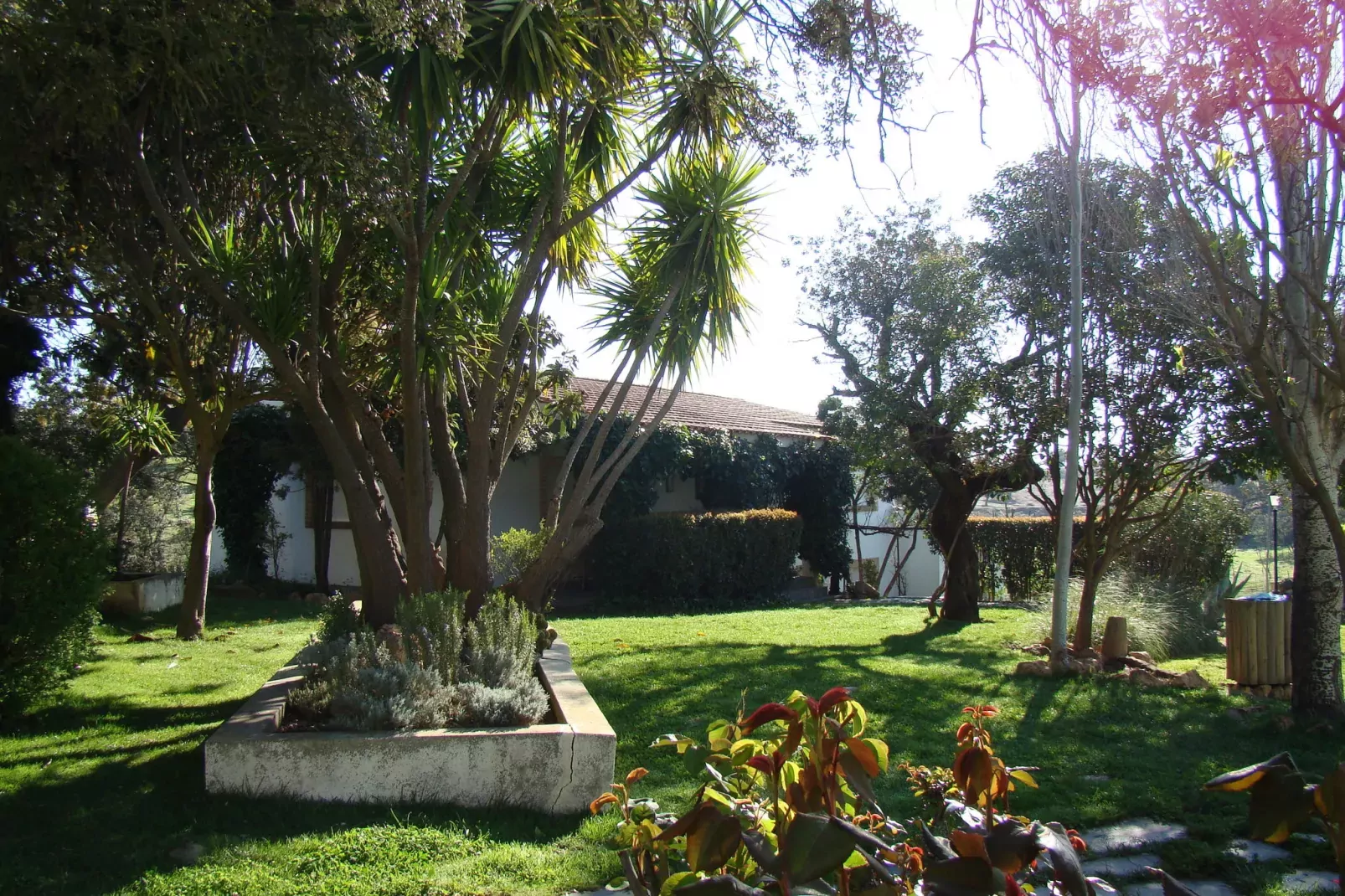 La Serena-Gardens summer