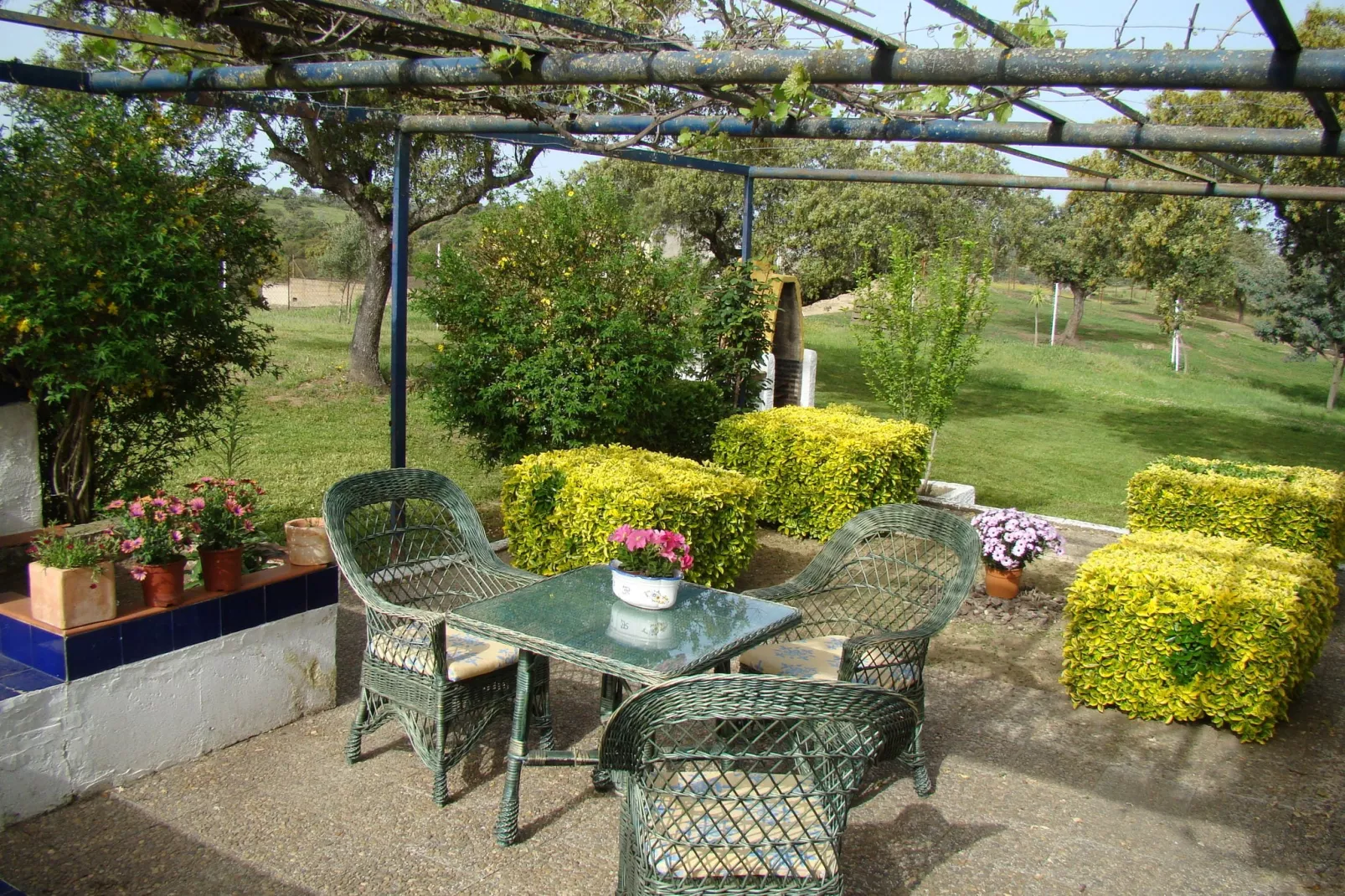 Malvazul-Terrace balcony