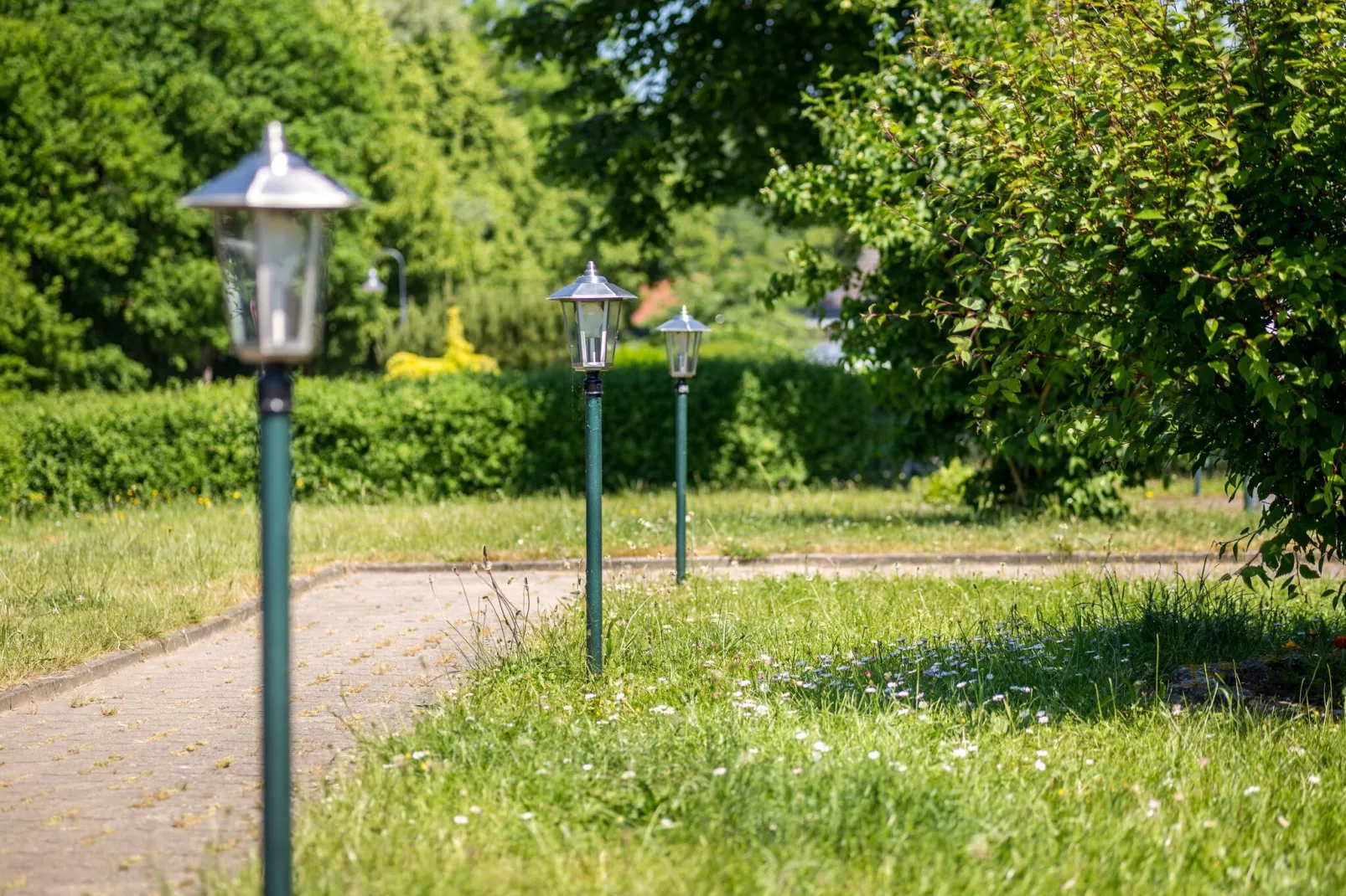 Im schönen Klützer Winkel-Gardens summer