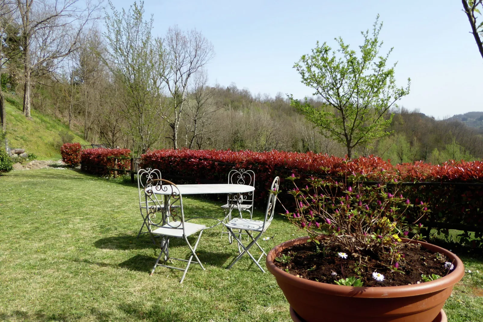 Villa Tortelli-Gardens summer