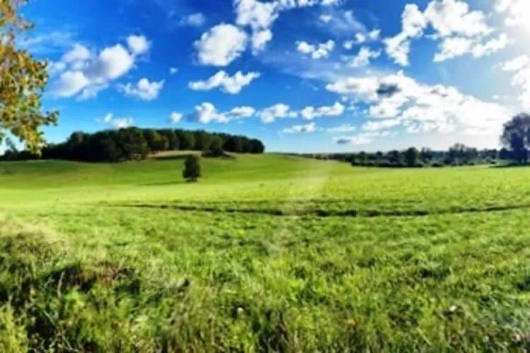 Fewo Gielow-Areas summer 5km