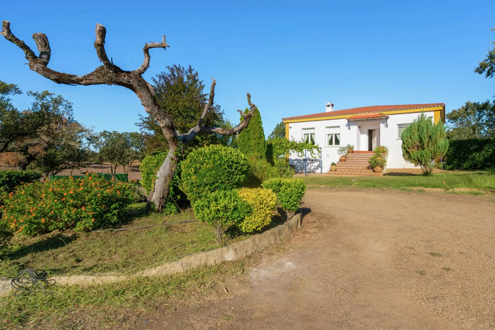 La Romera-Gardens summer