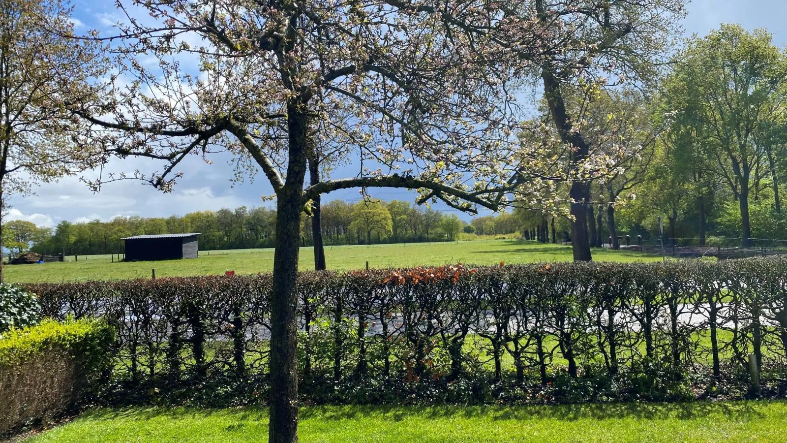Weidezicht A-View summer