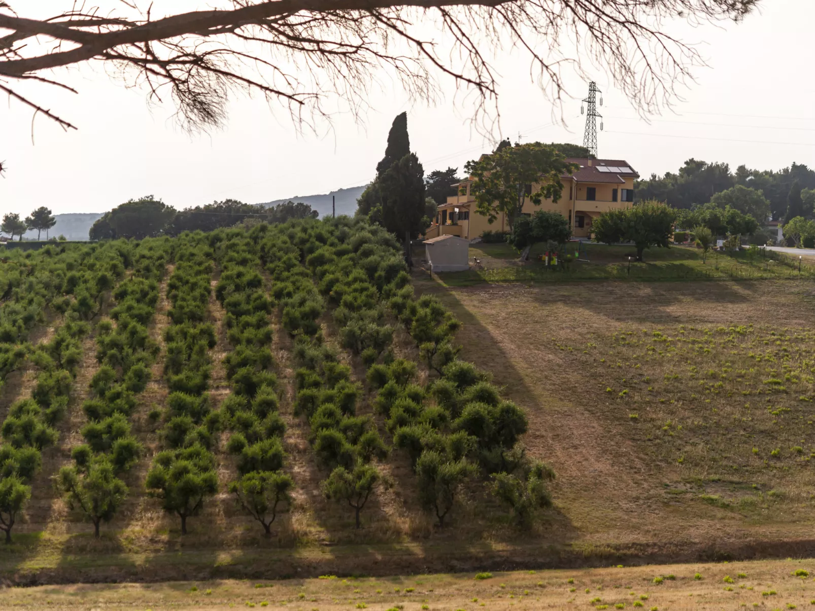 Podere la Maestà-Outside