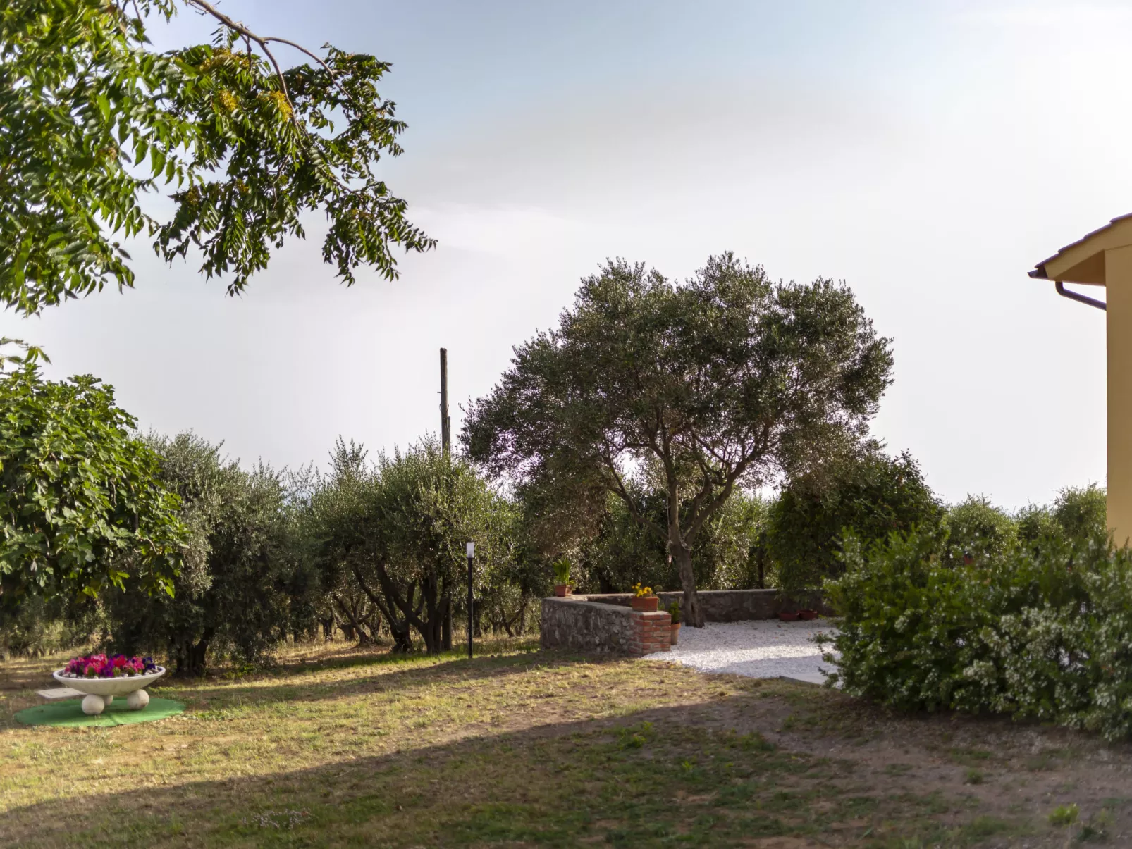 Podere la Maestà-Outside