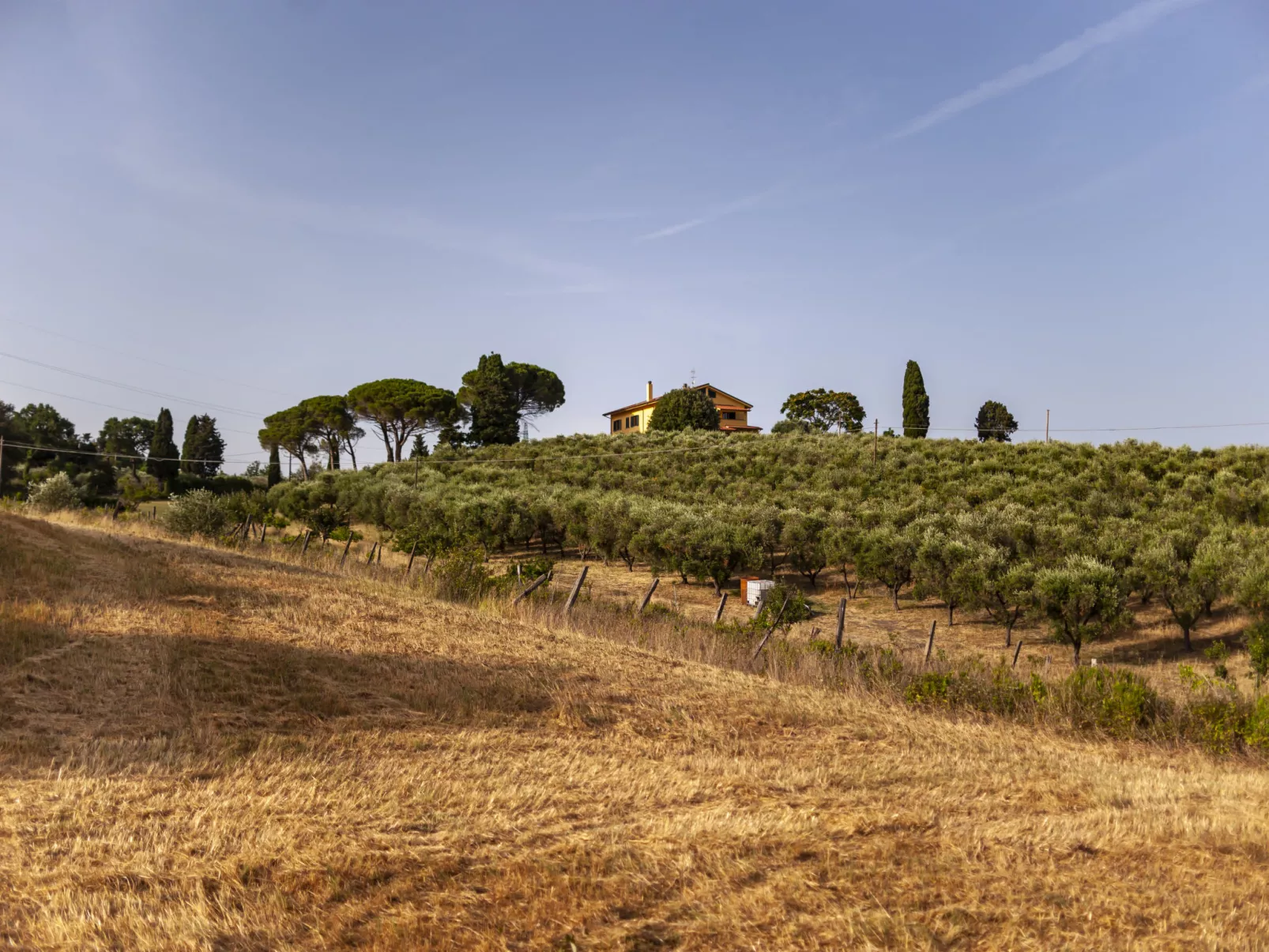 Podere la Maestà-Outside