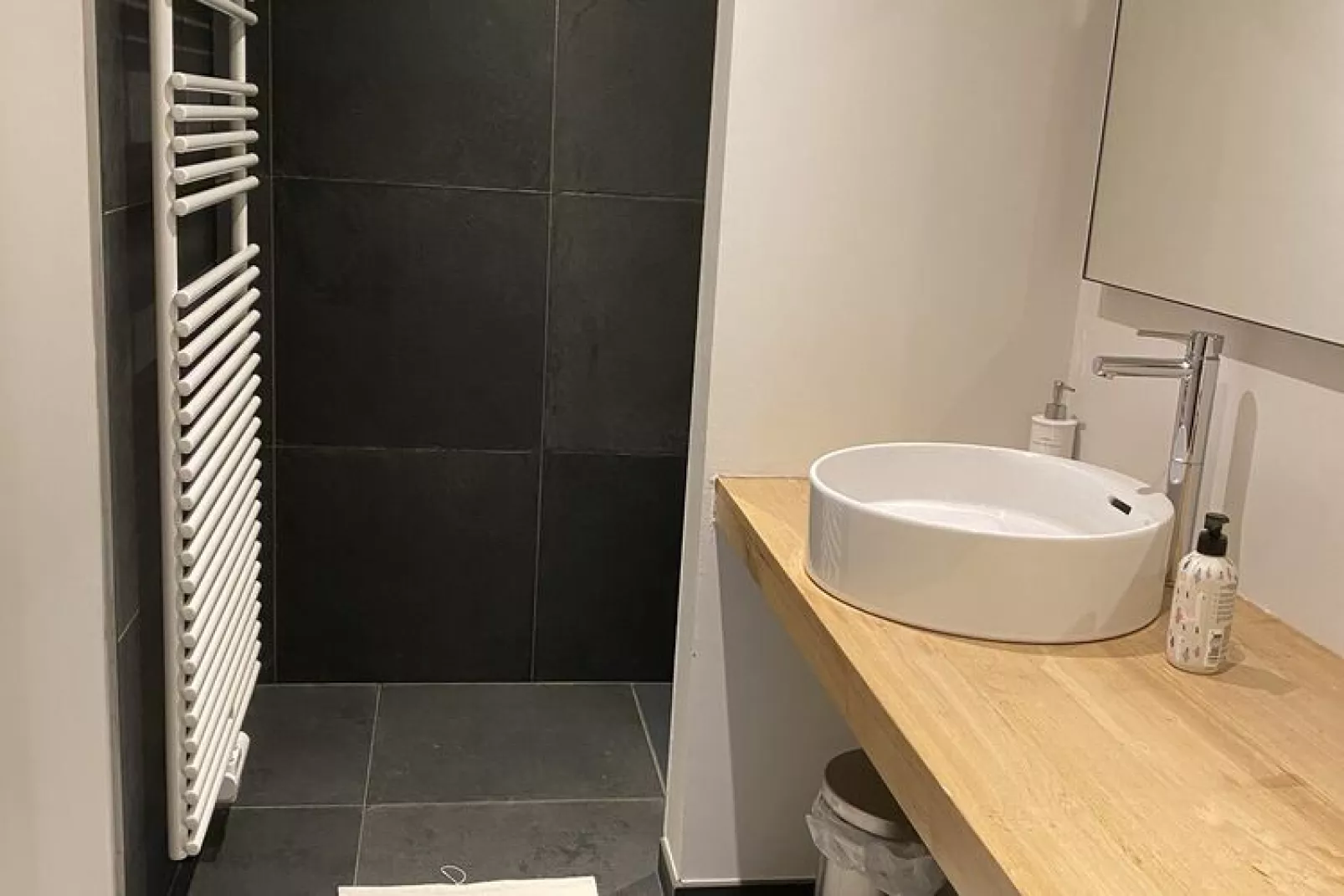 Le Martin Pêcheur-Bathroom