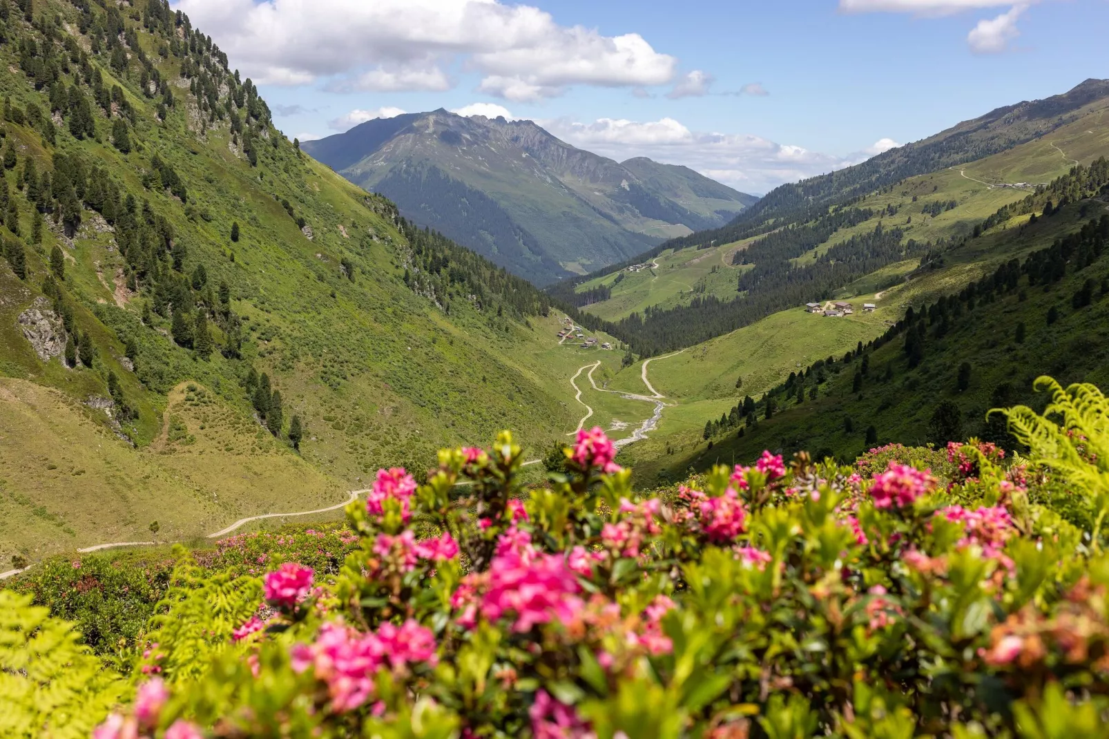Rocking home - Chalet / SO-SO-Areas summer 5km