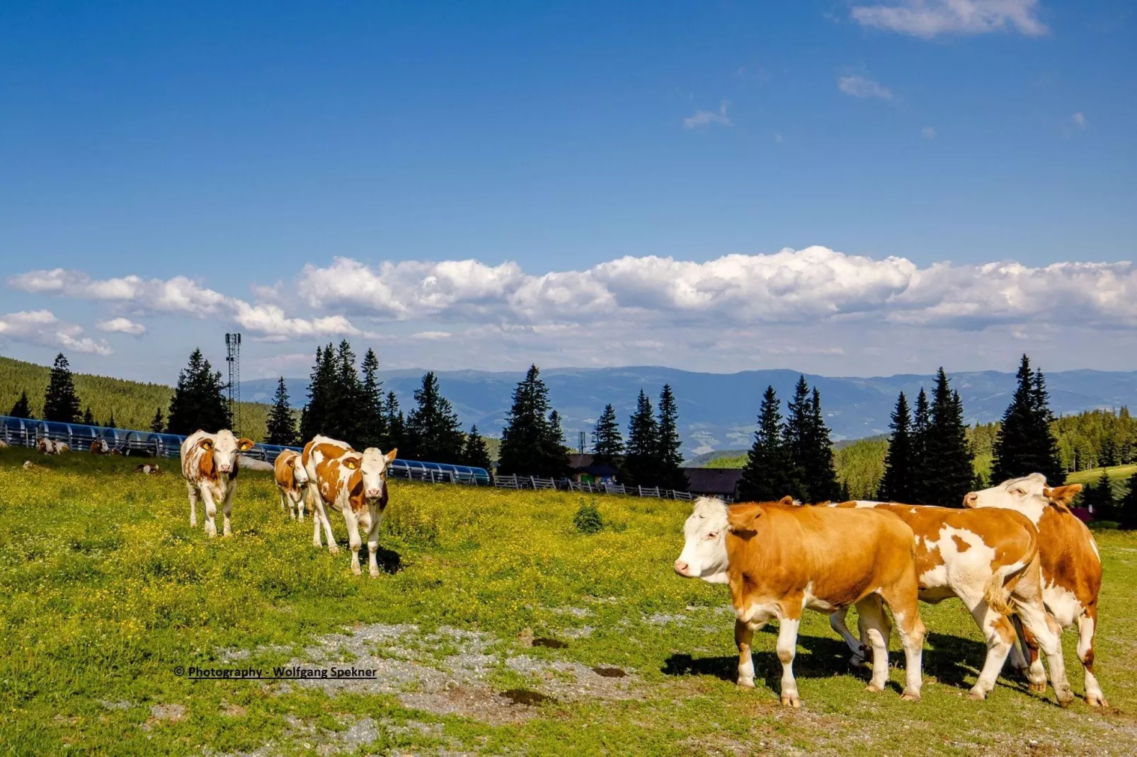 Almdorf Weinebene-Areas summer 1km