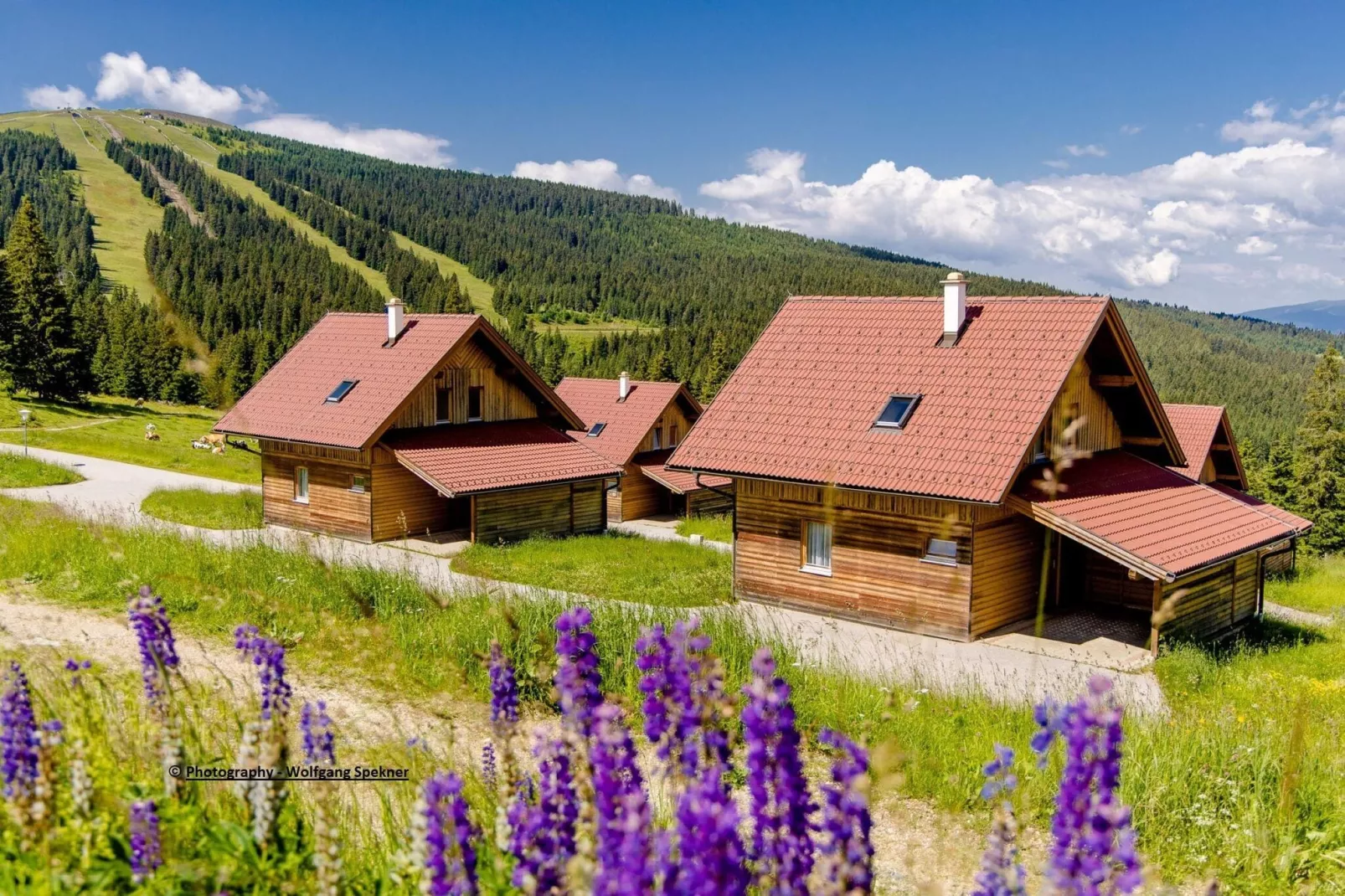 Almdorf Weinebene XL-Exterior summer