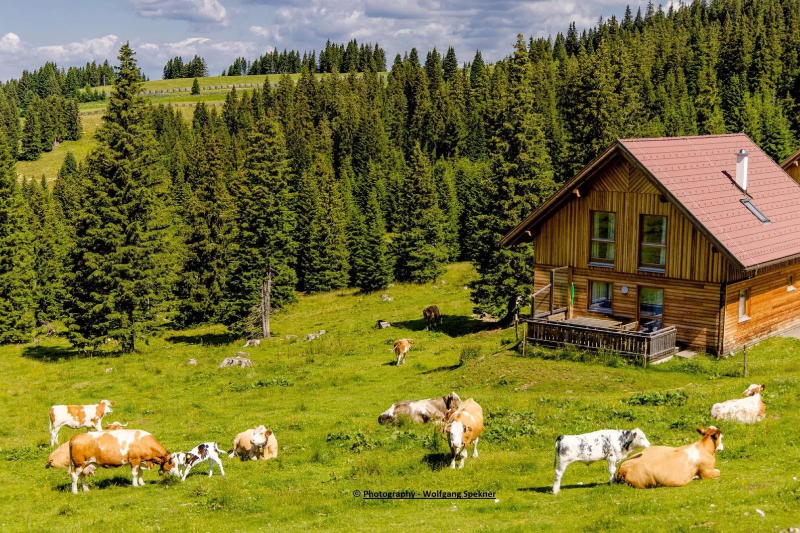 Almdorf Weinebene XL-Exterior summer