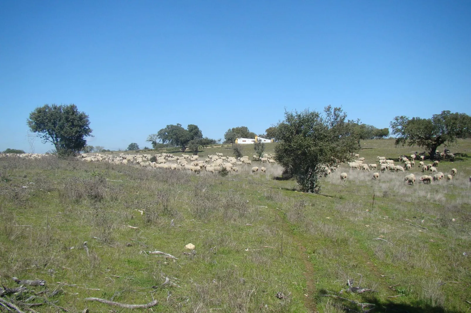La Galana-Areas summer 5km