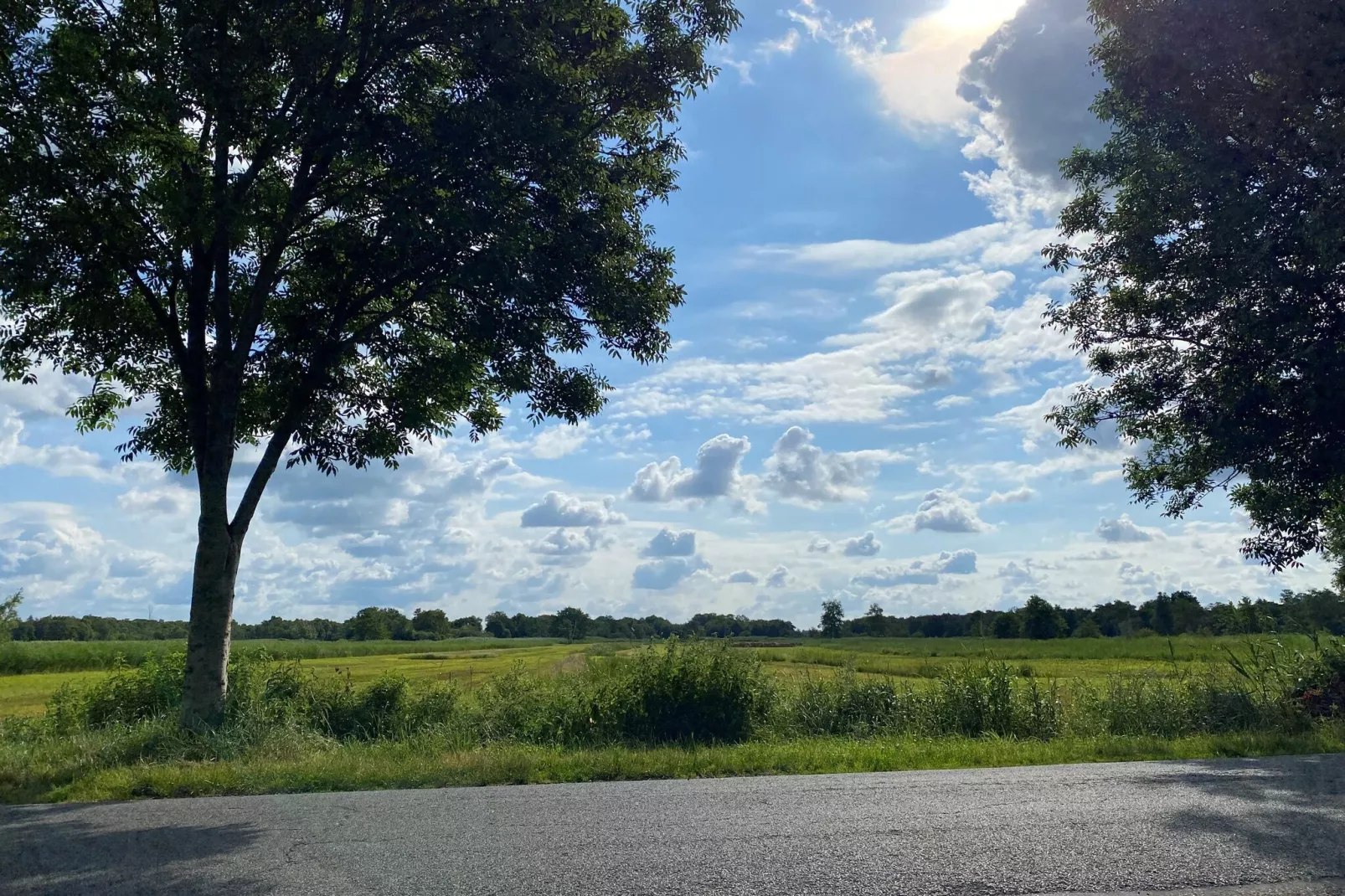 Aan de dwarsgracht-Aussicht Sommer