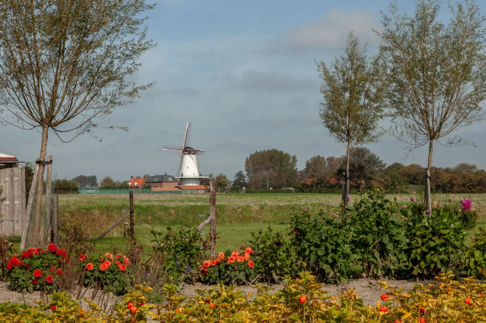 Studio - Vlissingsestraat 3-3  Koudekerke-Areas summer 1km