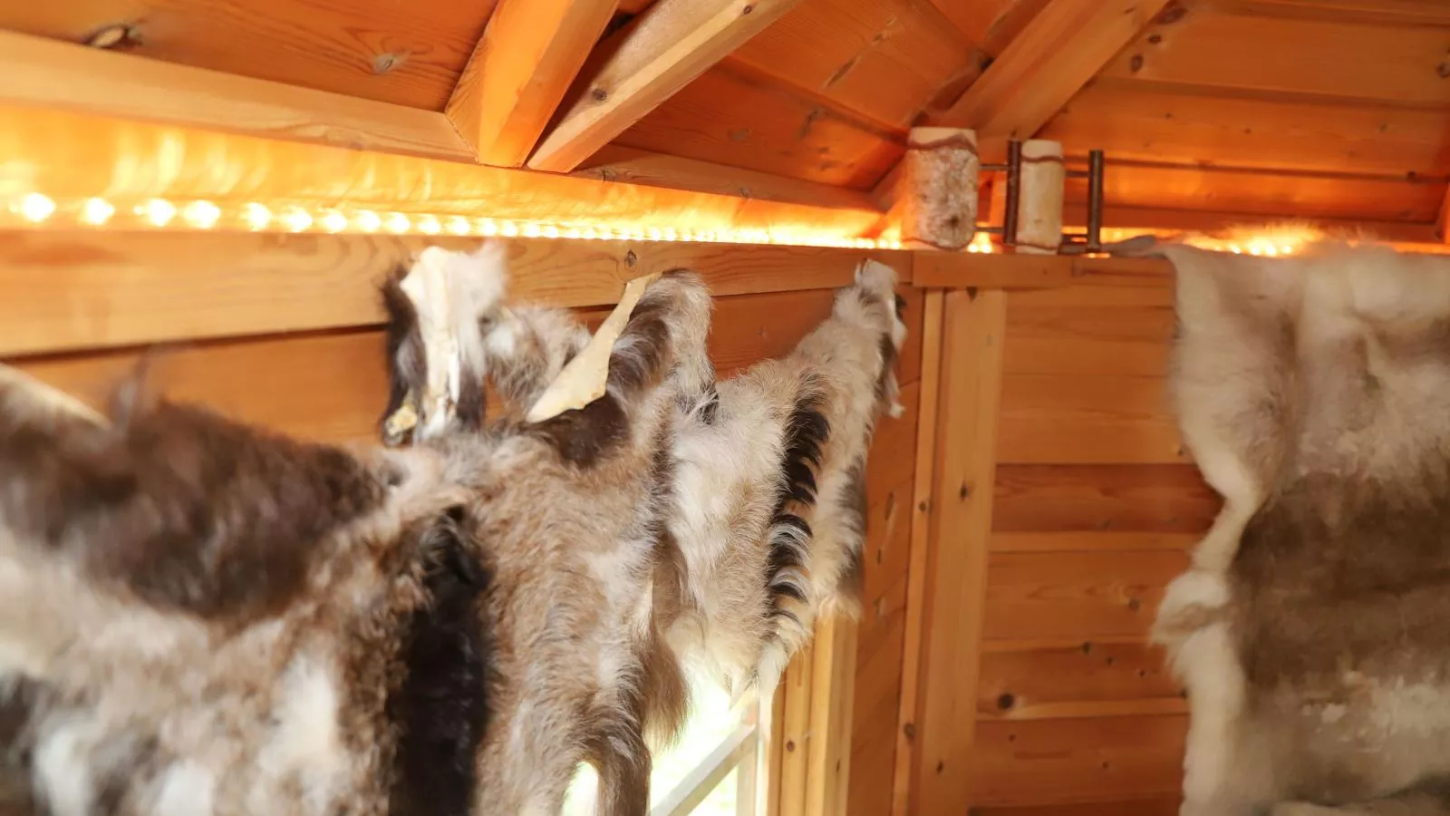 Urige Chalets 3 und 4-Park facilities