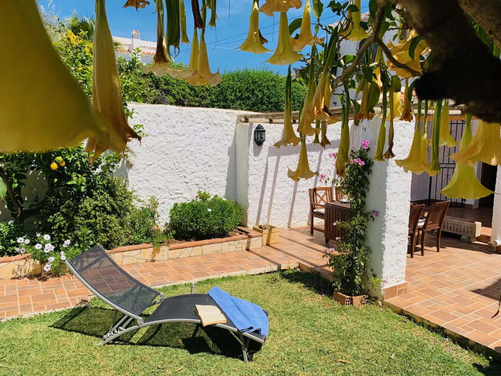 Los Olivos de Capistrano-Outside