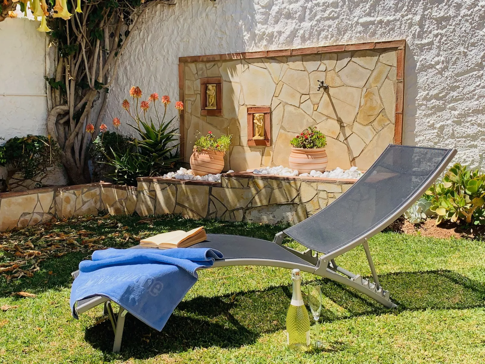 Los Olivos de Capistrano-Outside