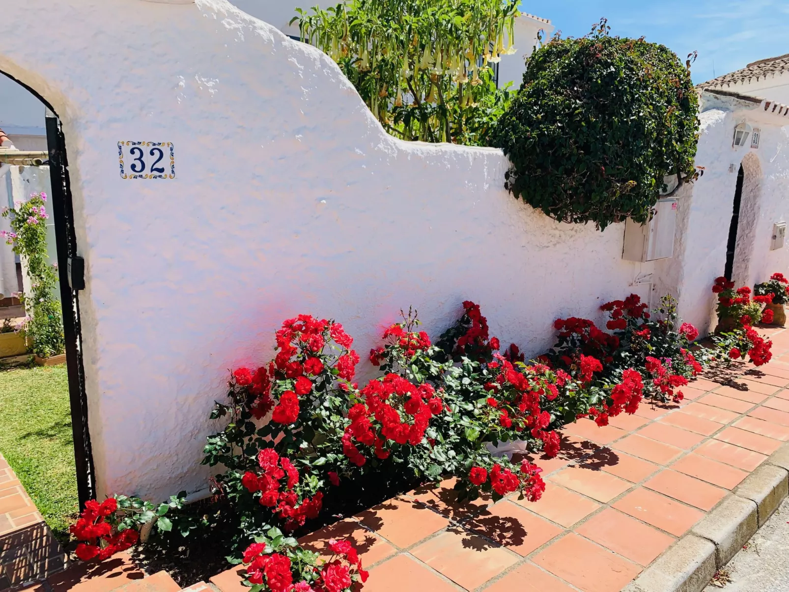Los Olivos de Capistrano-Outside