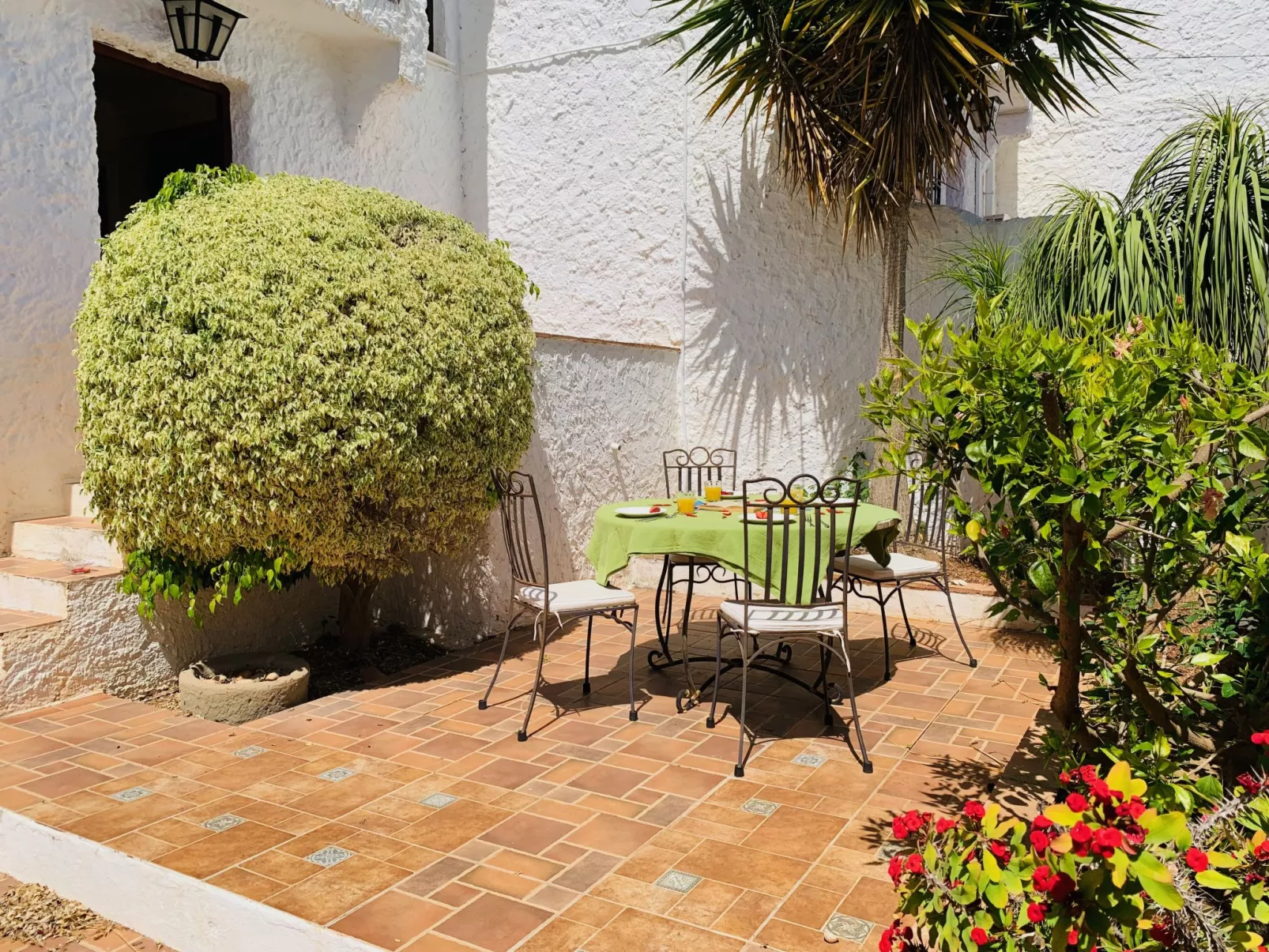 Los Olivos de Capistrano-Outside