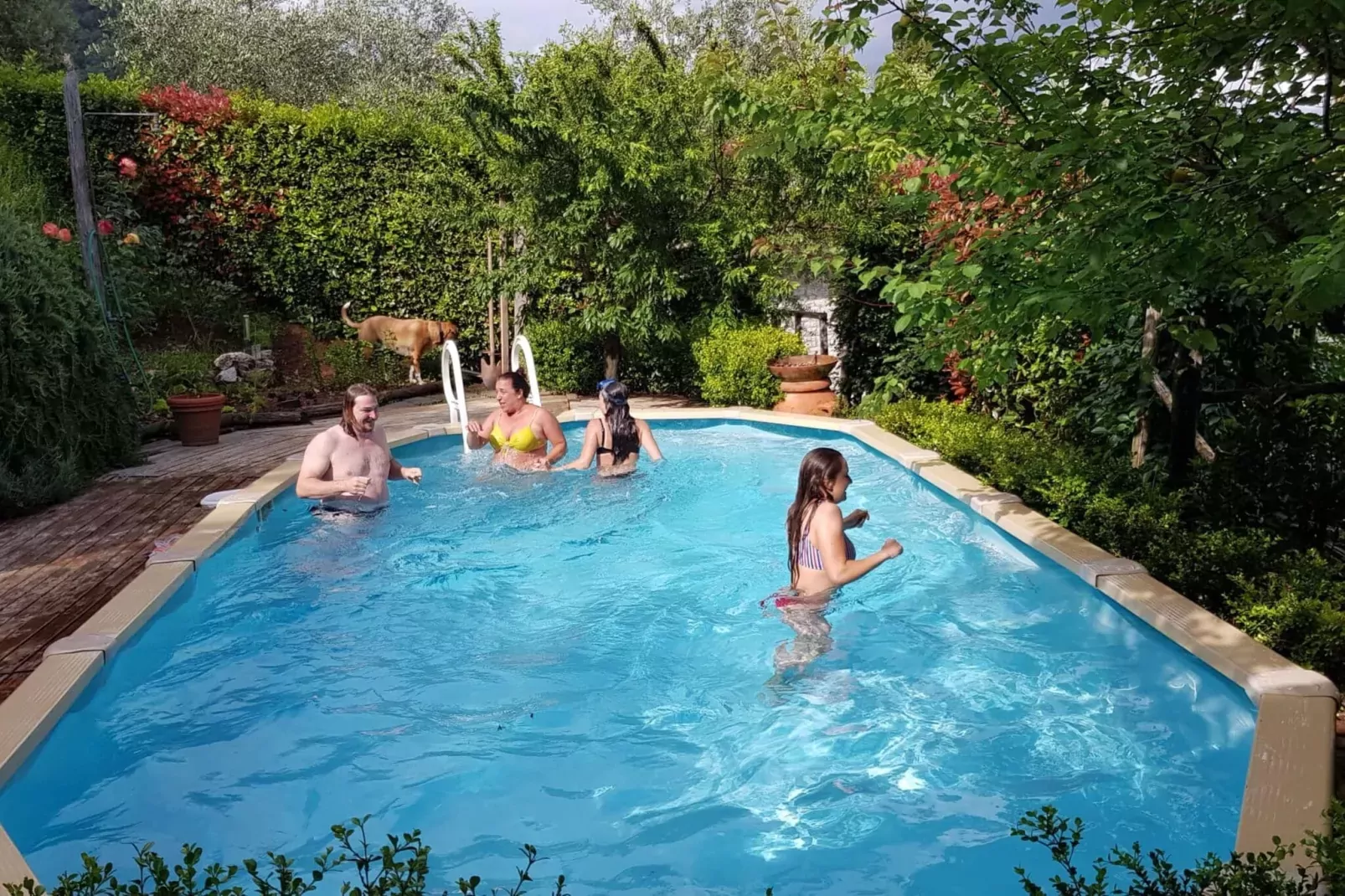 Casa Orbicciano & Nido d'amore - Piscine