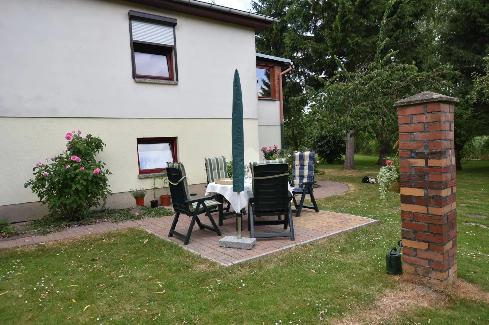 Sonnenblume-Exterior summer