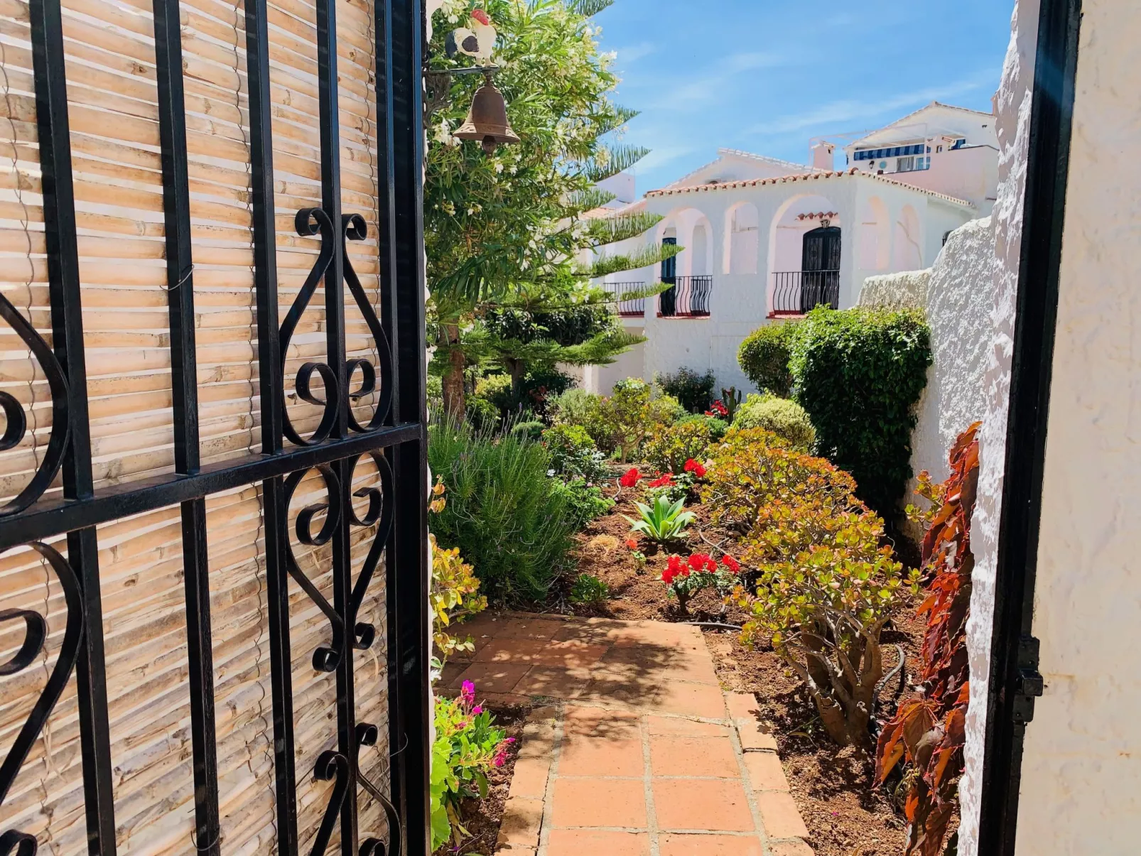 Los Olivos de Capistrano-Outside