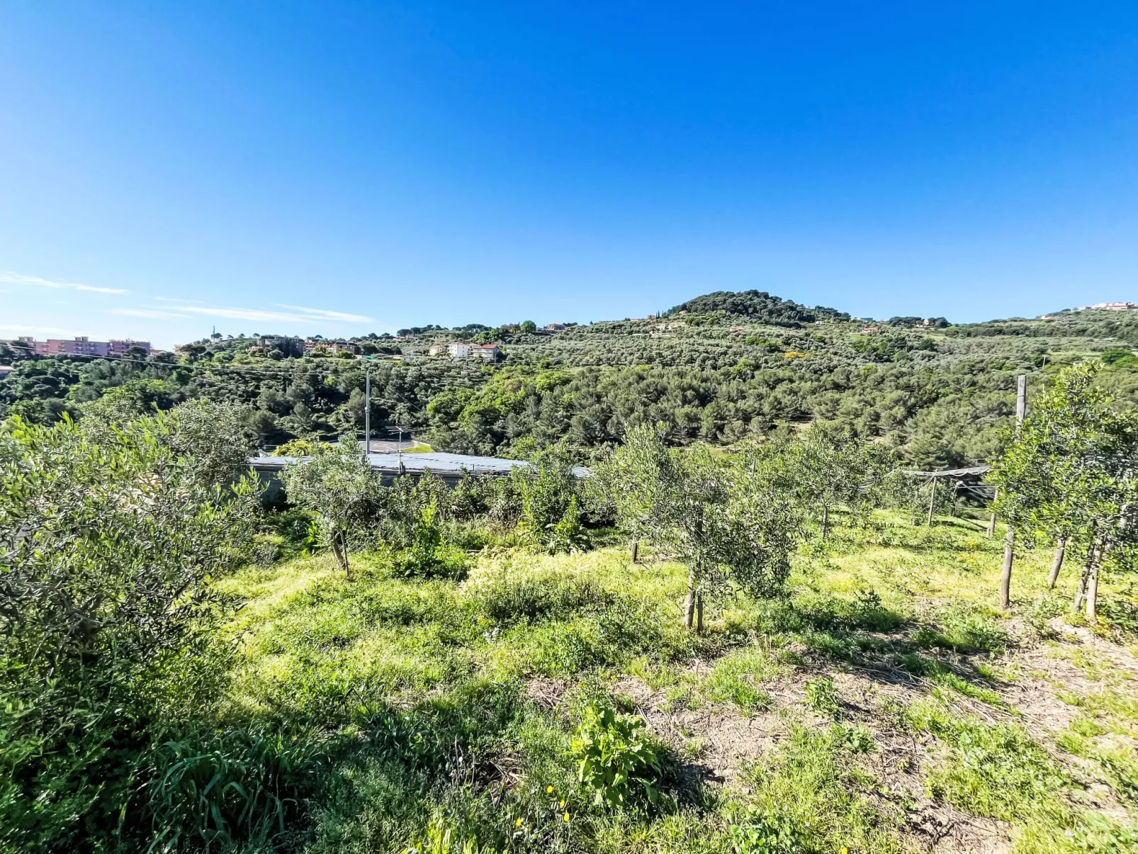 Casa Lulú-Dehors